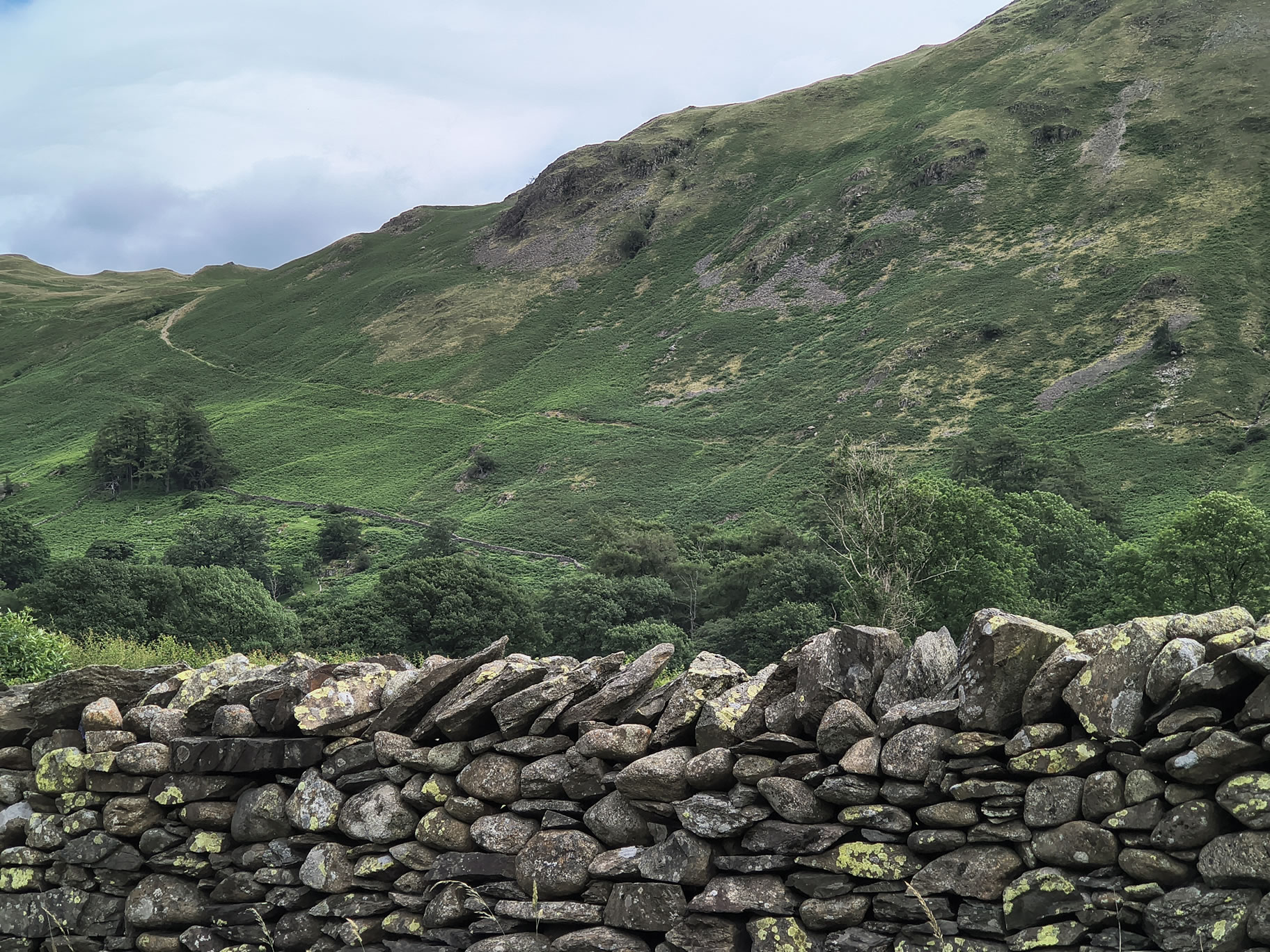 Angletarn Pikes Jul 03, 2025 - Image 26