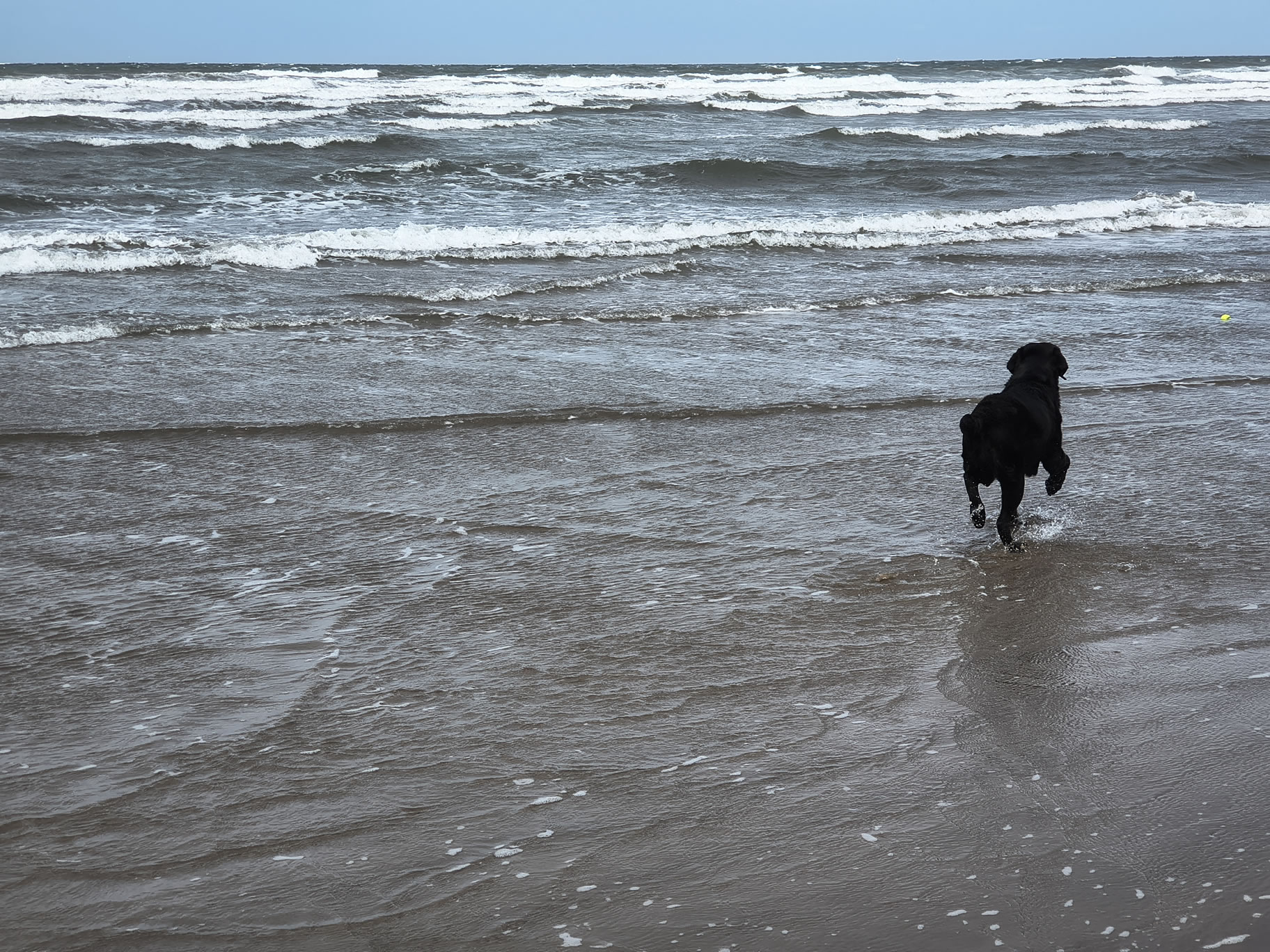 St Bees Jul 04, 2025 - Image 6