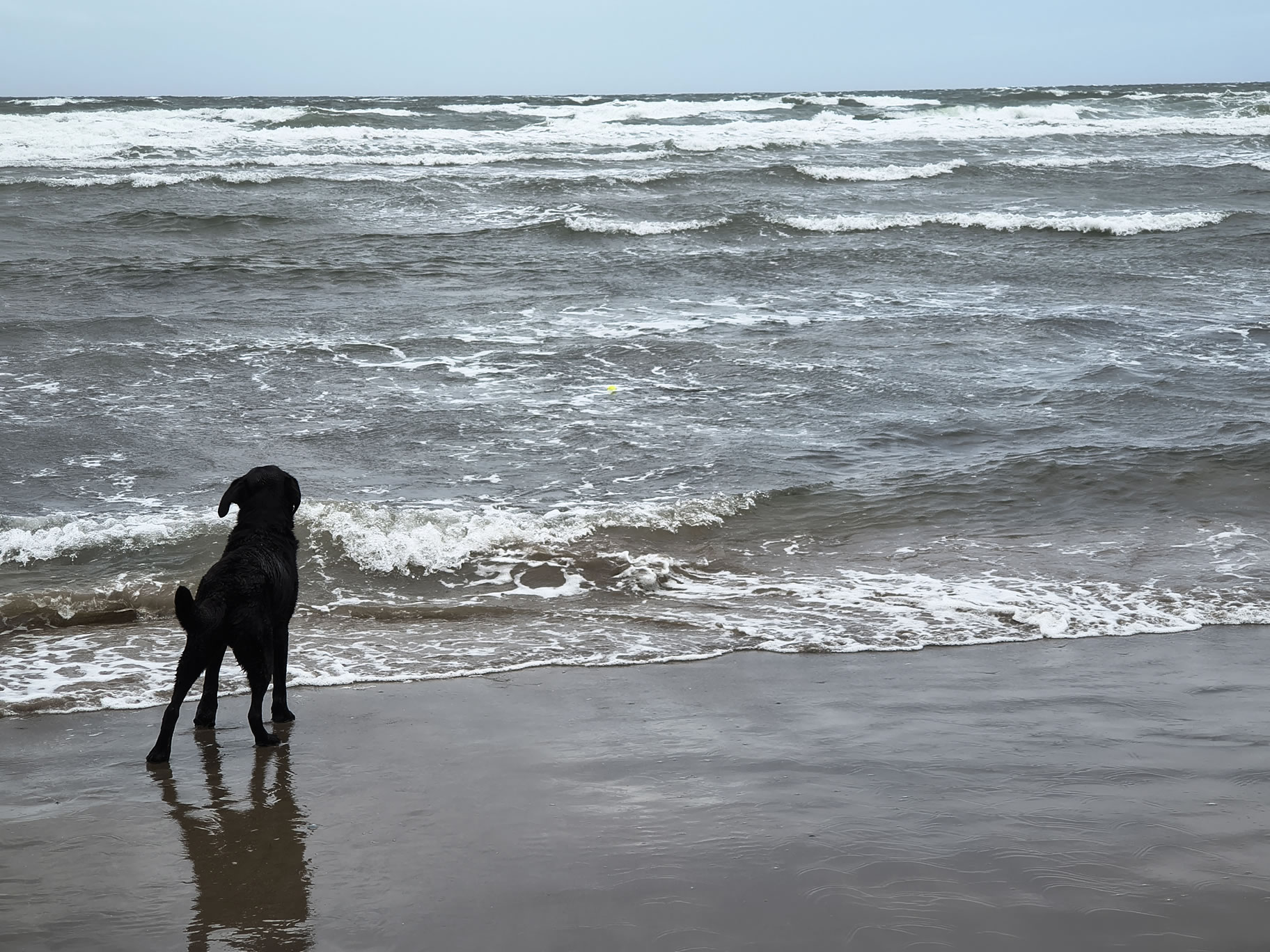 St Bees Jul 04, 2025 - Image 7