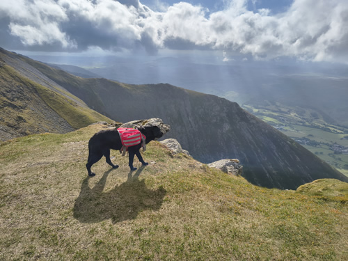 Dappled sun highlights Indy on Blencathra against the sharp contours of Halls Fell ridge behind