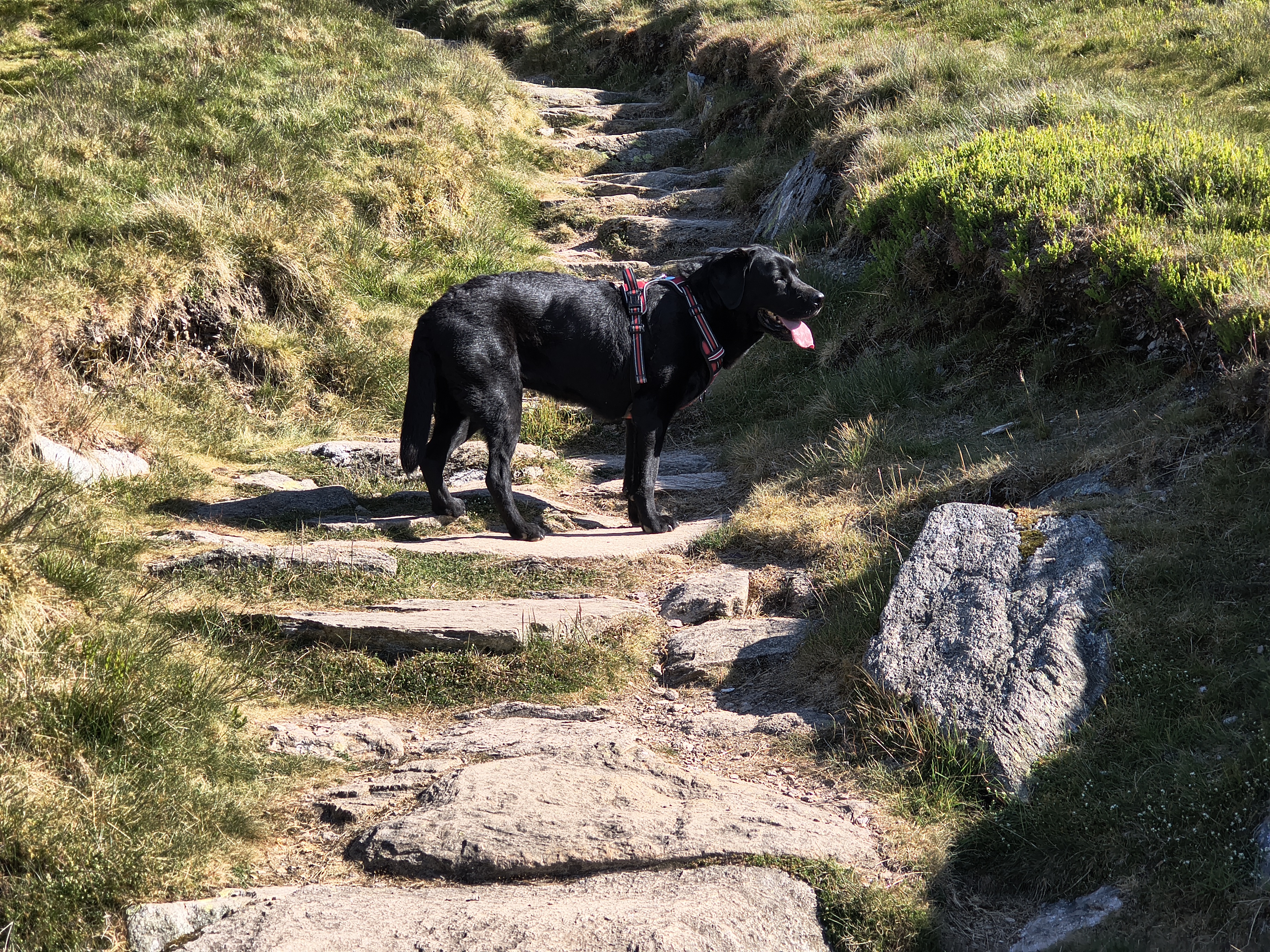 Place Fell, Ullswater - Image 3, May 20, 2025