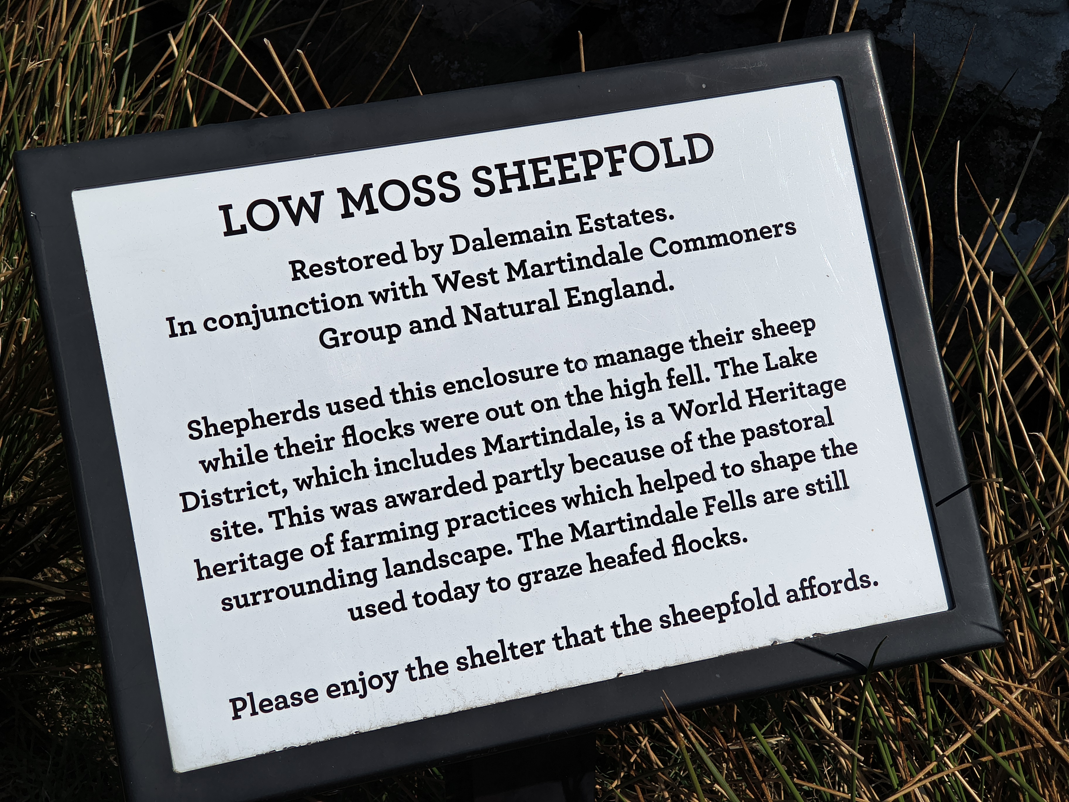 Place Fell, Ullswater - Image 7, May 20, 2025