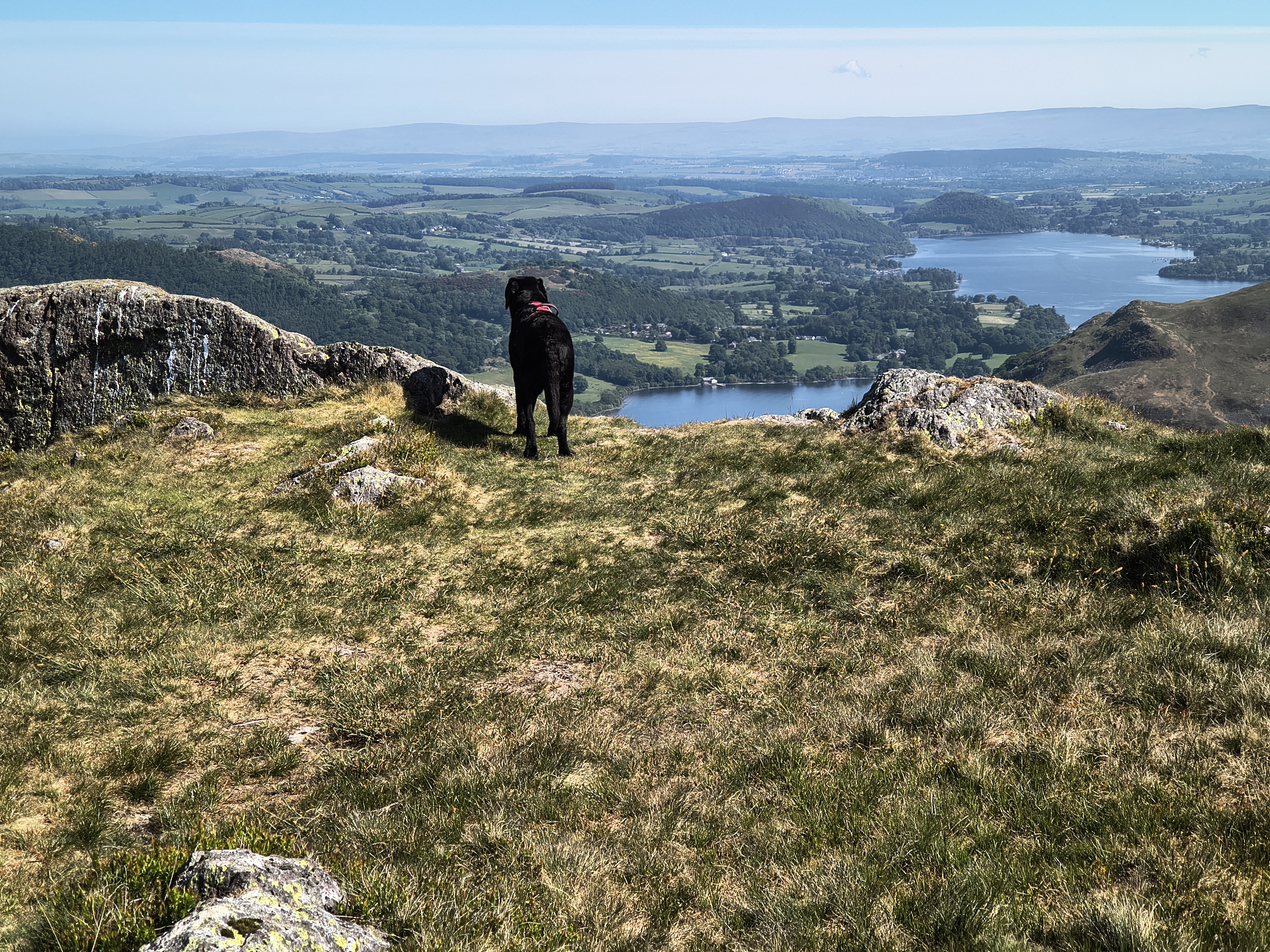 Place Fell, Ullswater - Image 8, May 20, 2025