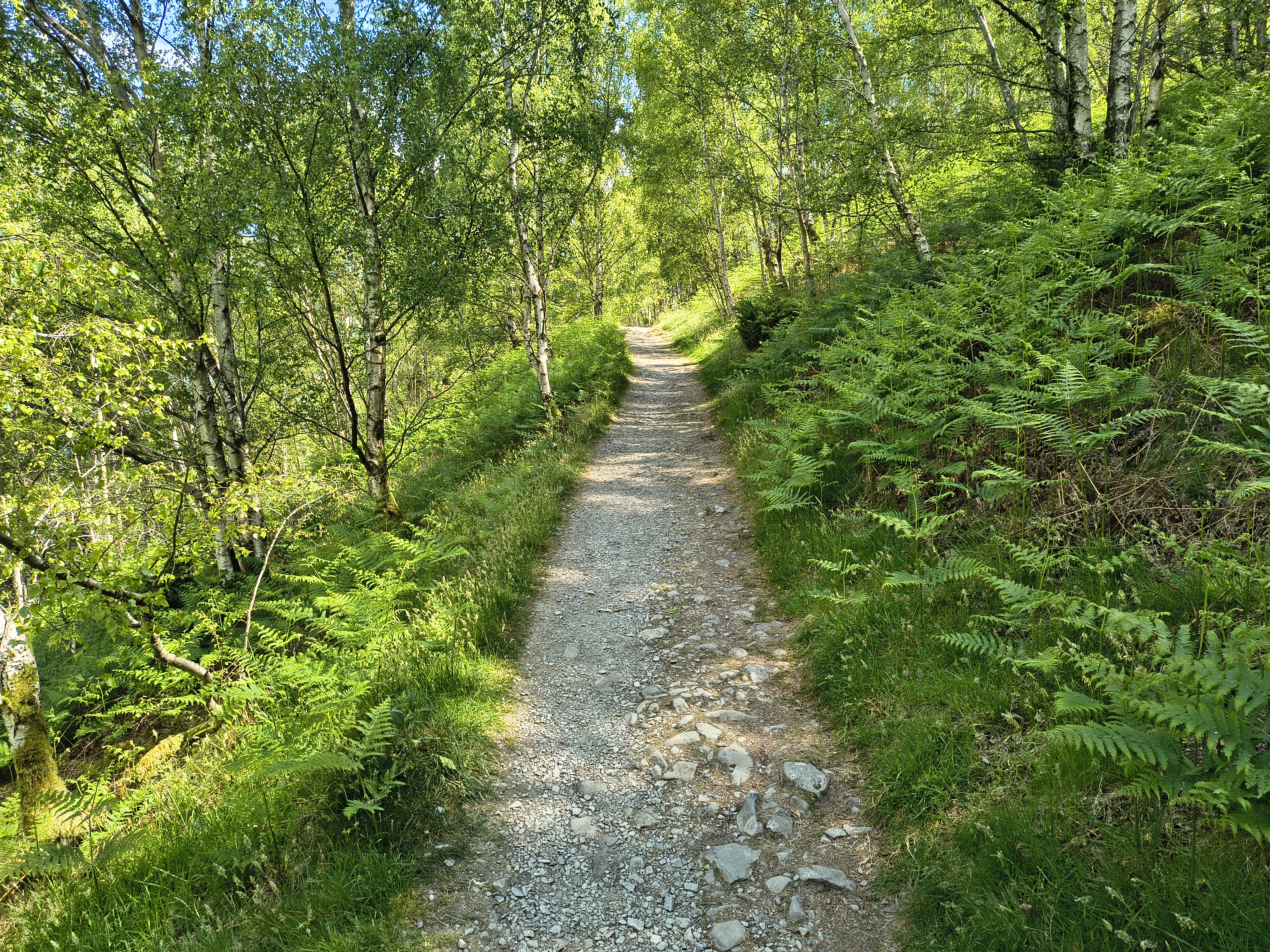 Place Fell, Ullswater - Image 12, May 20, 2025