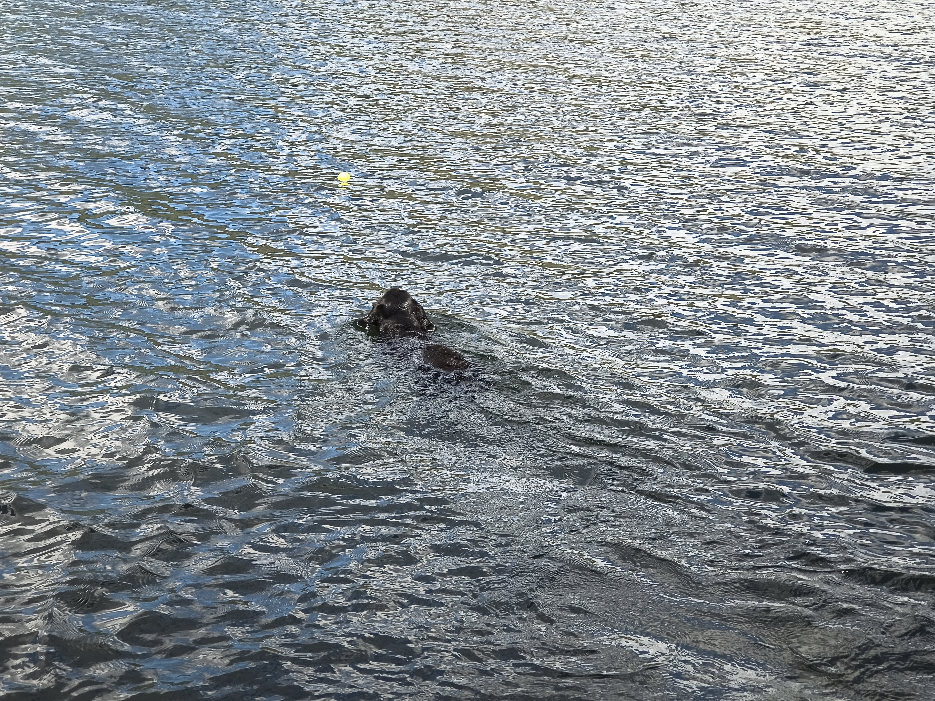 Place Fell, Ullswater - Image 13, May 20, 2025