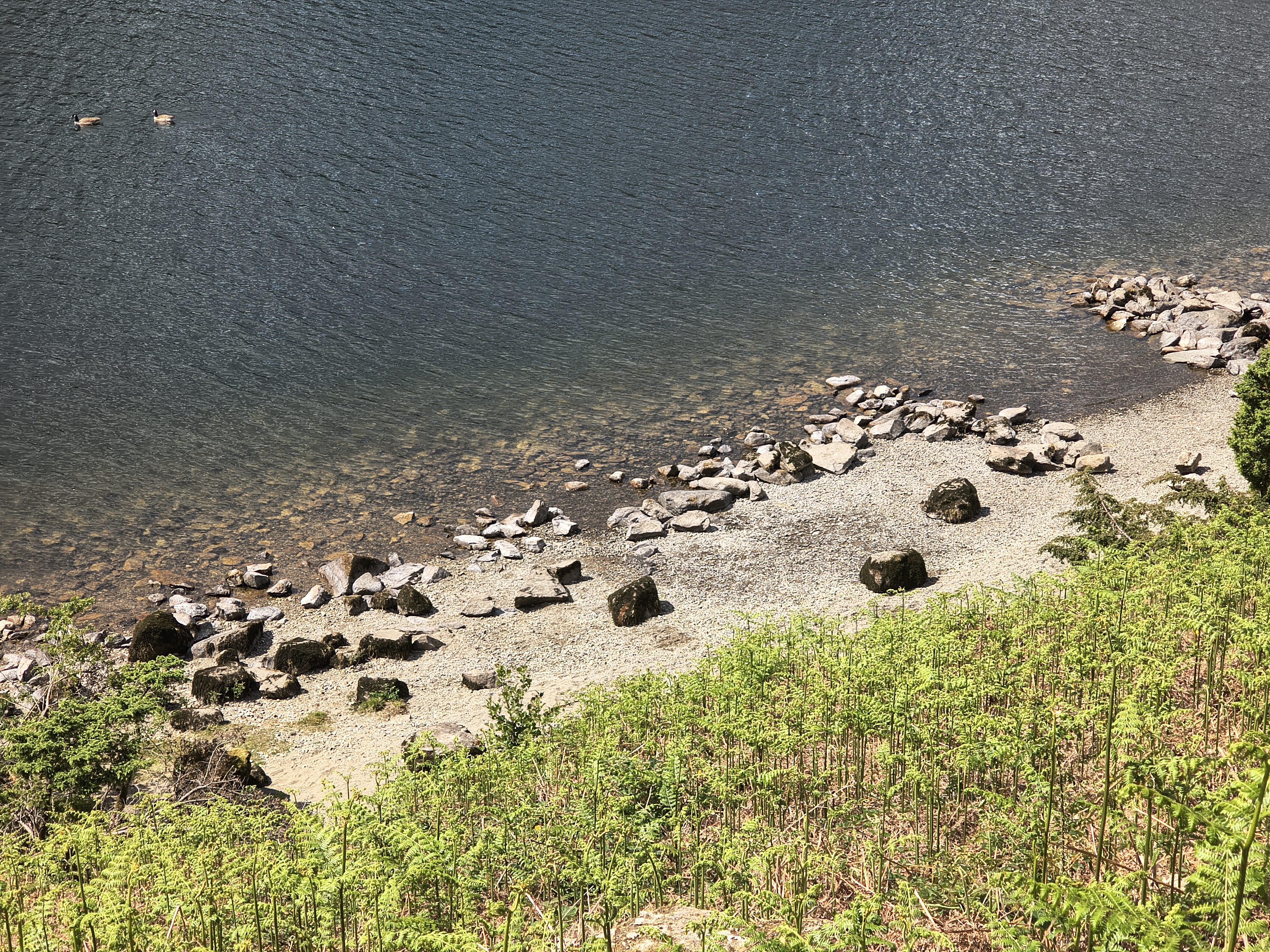 Place Fell, Ullswater - Image 15, May 20, 2025
