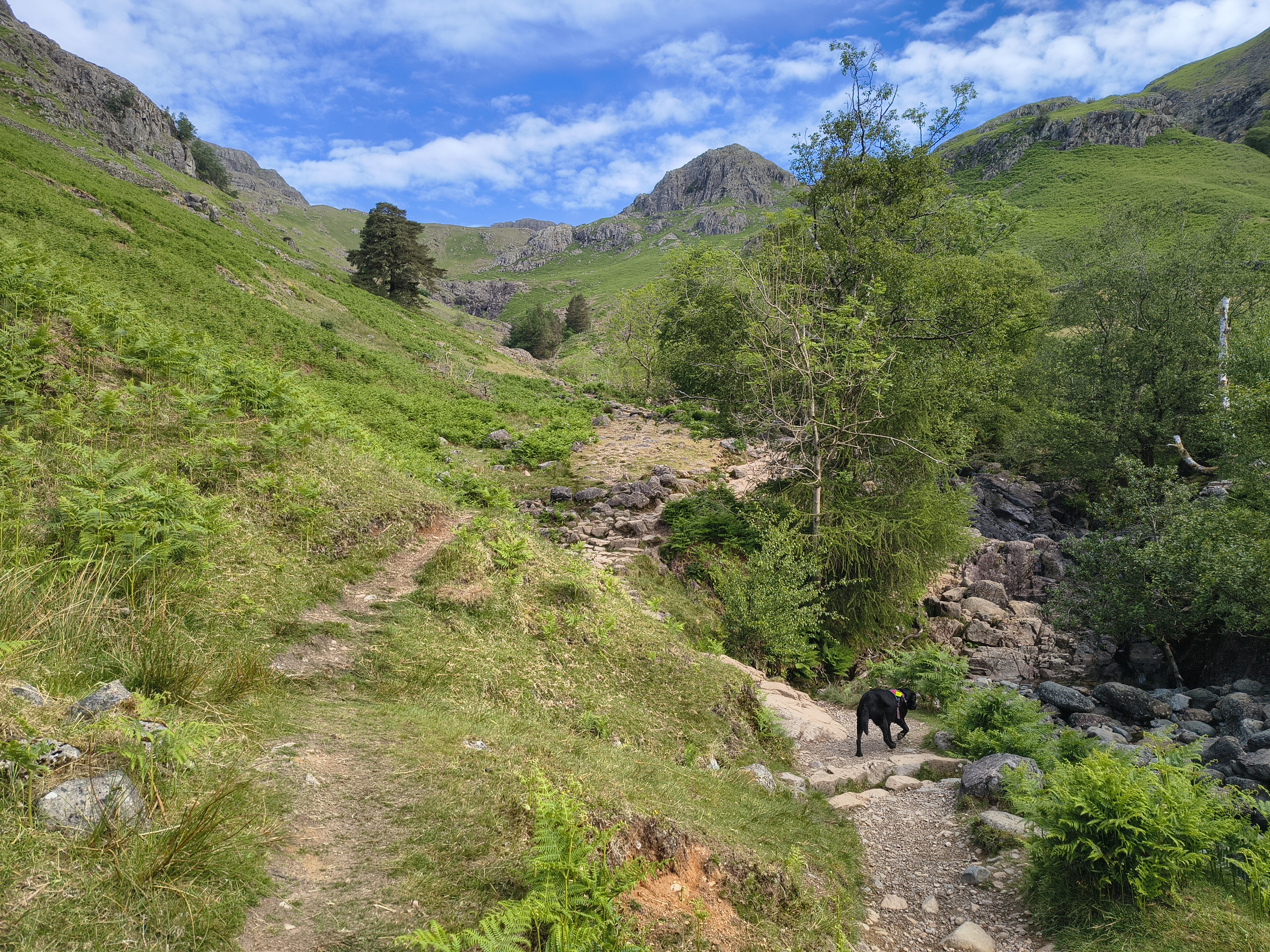 Langdale Pikes - Image 3, May 21, 2025