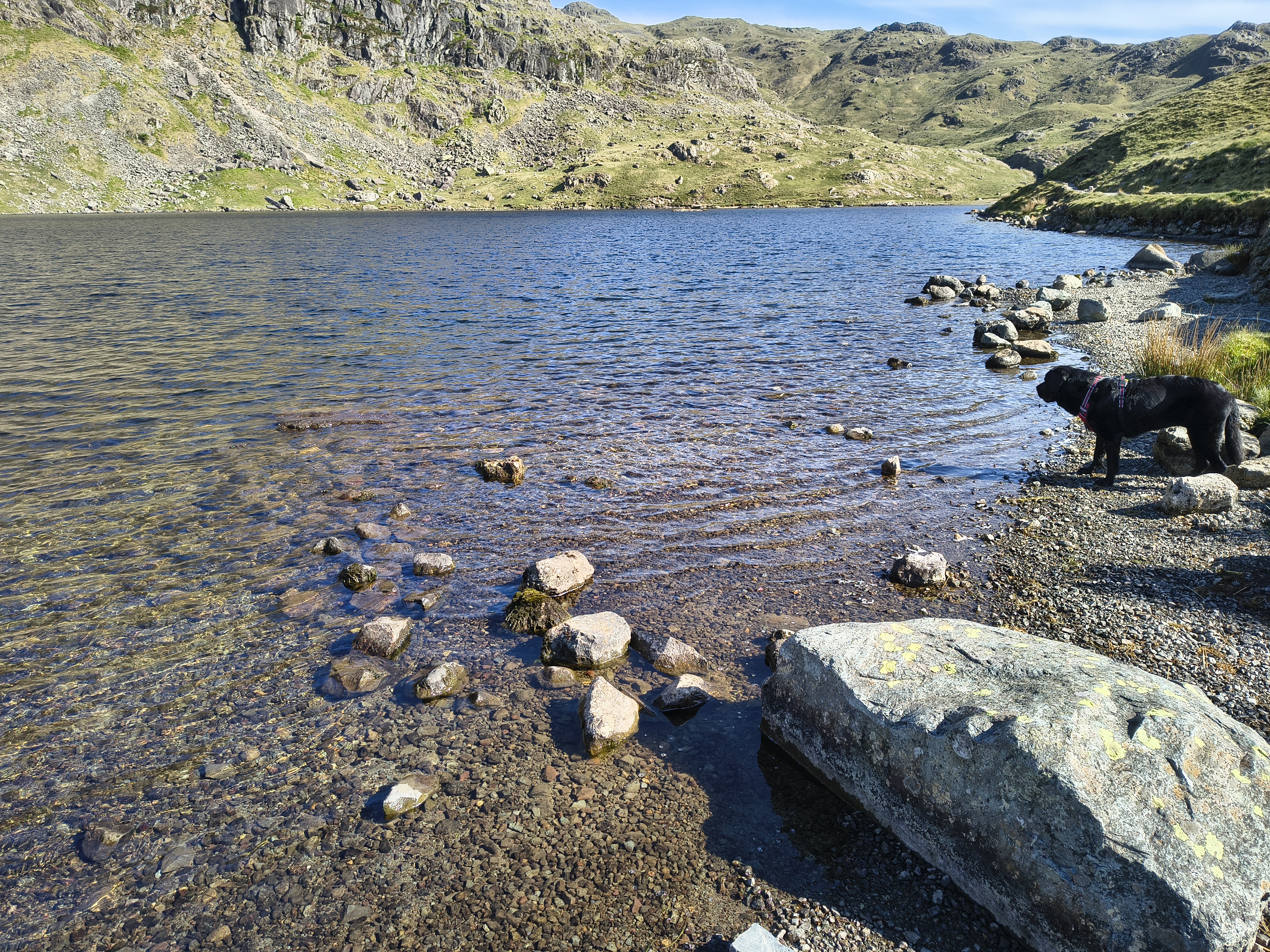 Langdale Pikes - Image 5, May 21, 2025