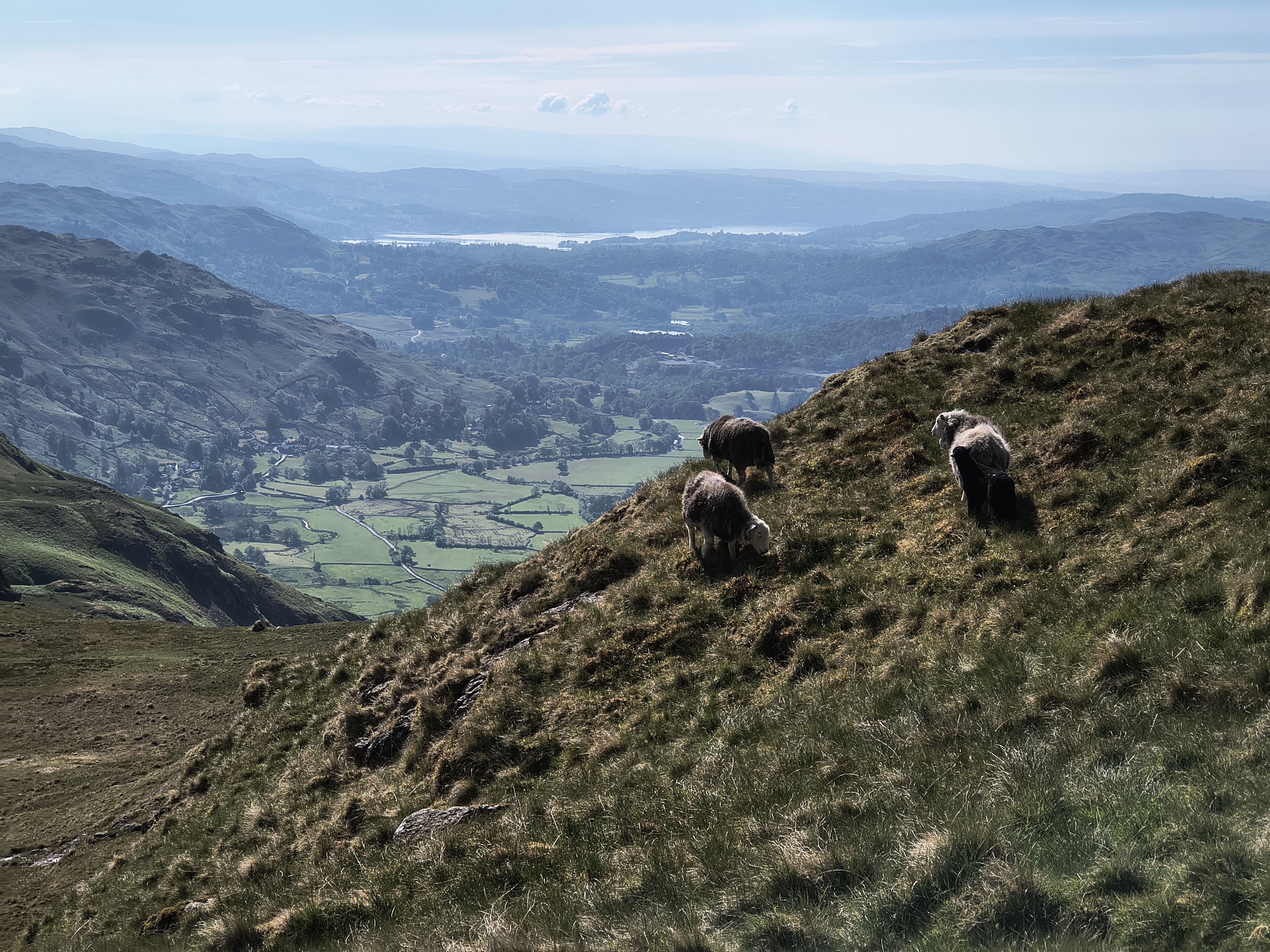 Langdale Pikes - Image 6, May 21, 2025