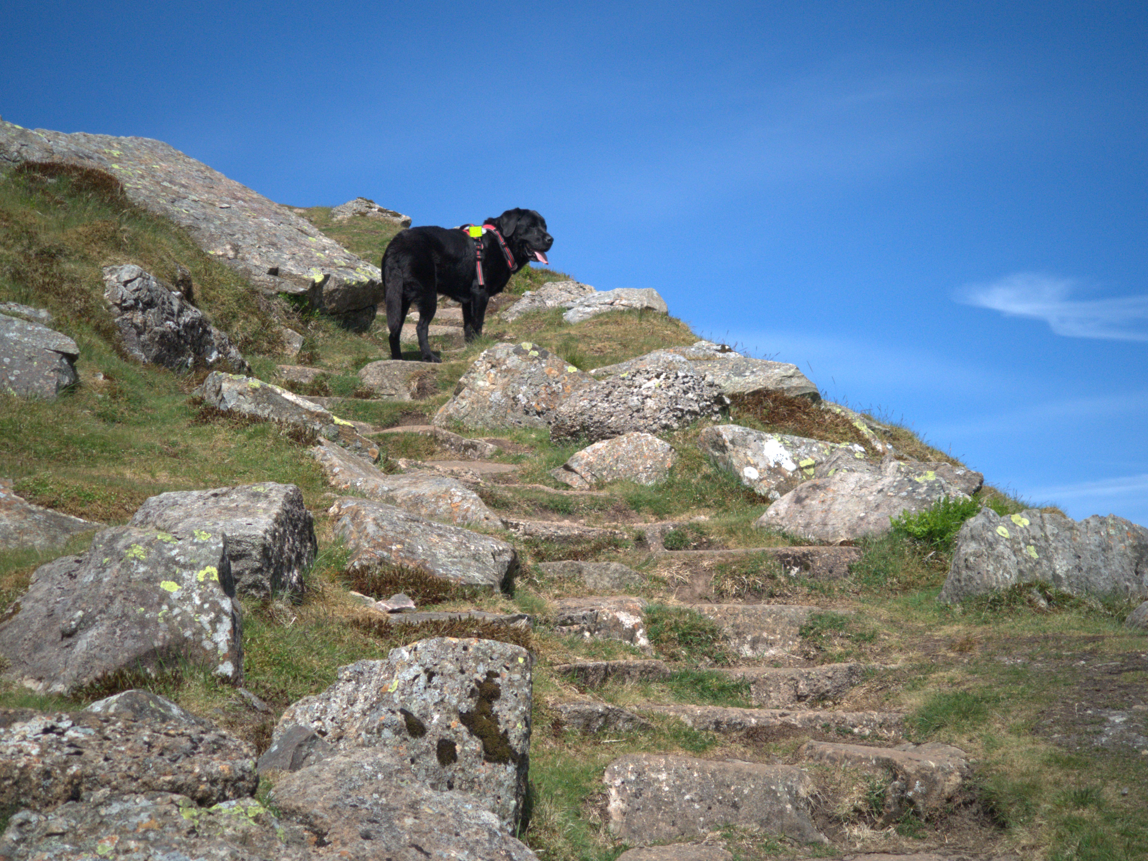Langdale Pikes - Image 10, May 21, 2025