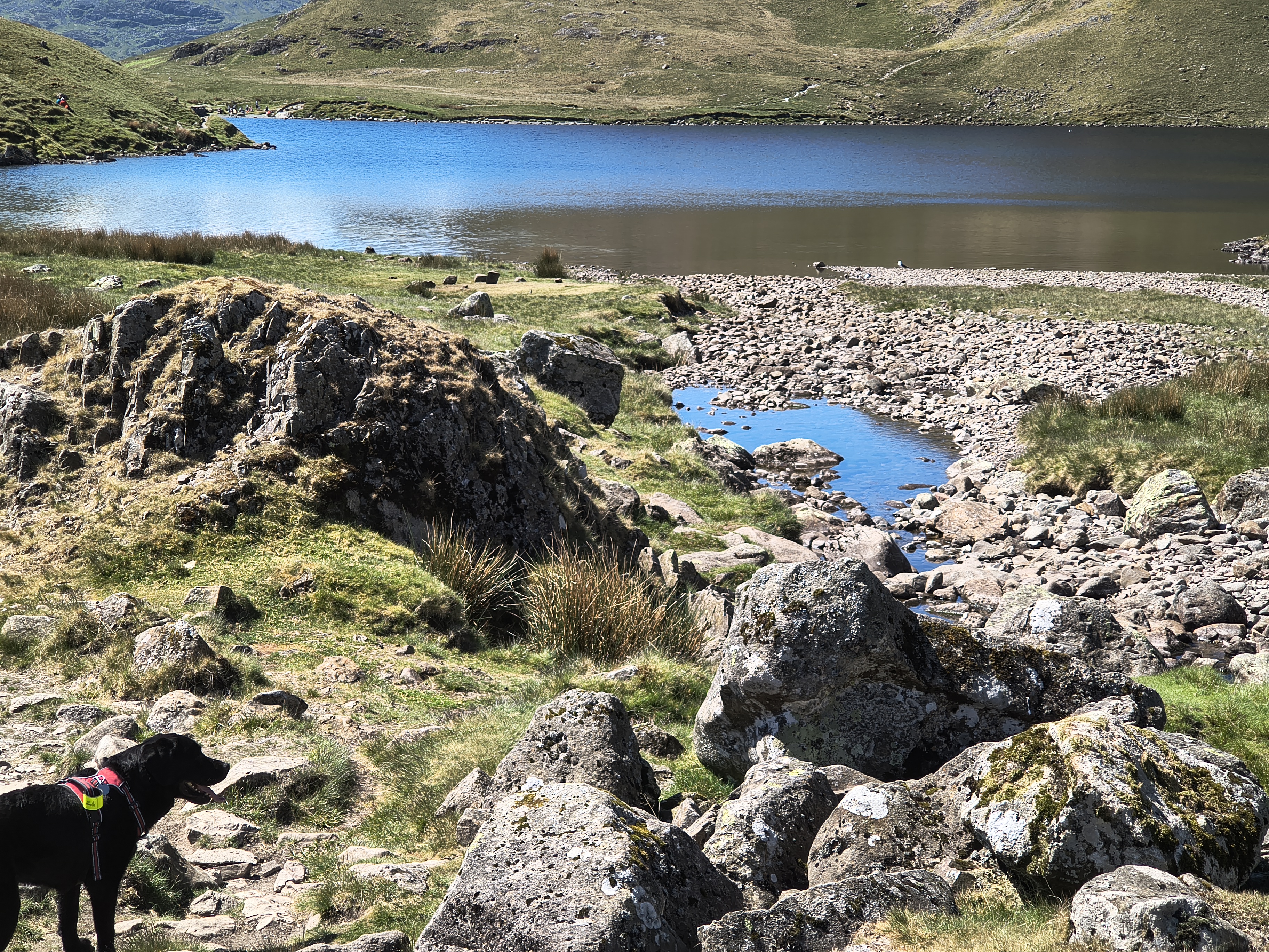 Langdale Pikes - Image 13, May 21, 2025