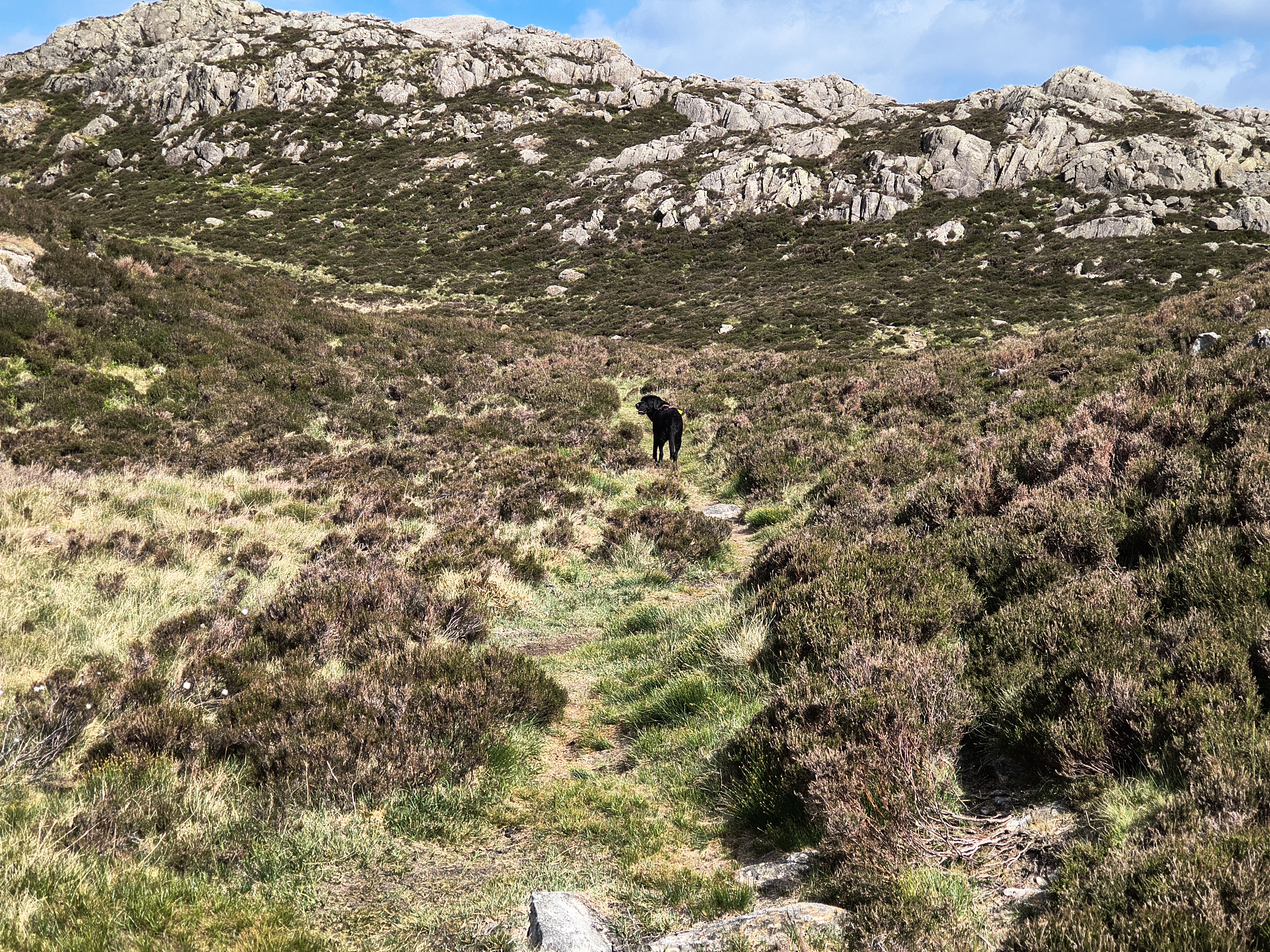 Hay Stacks - Image 7, May 23, 2025