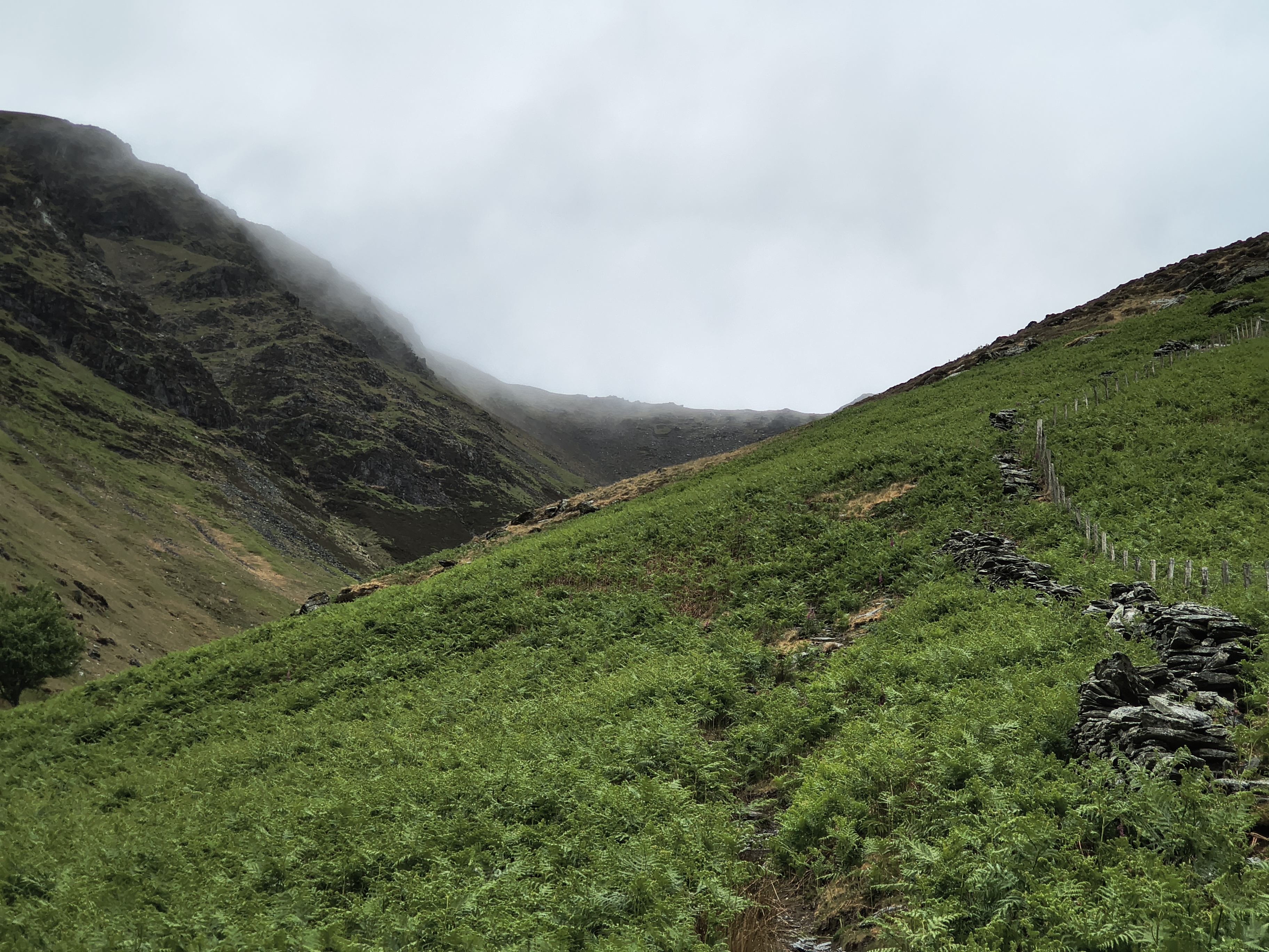Blencathra [whiteout] - Image 3, May 27, 2025