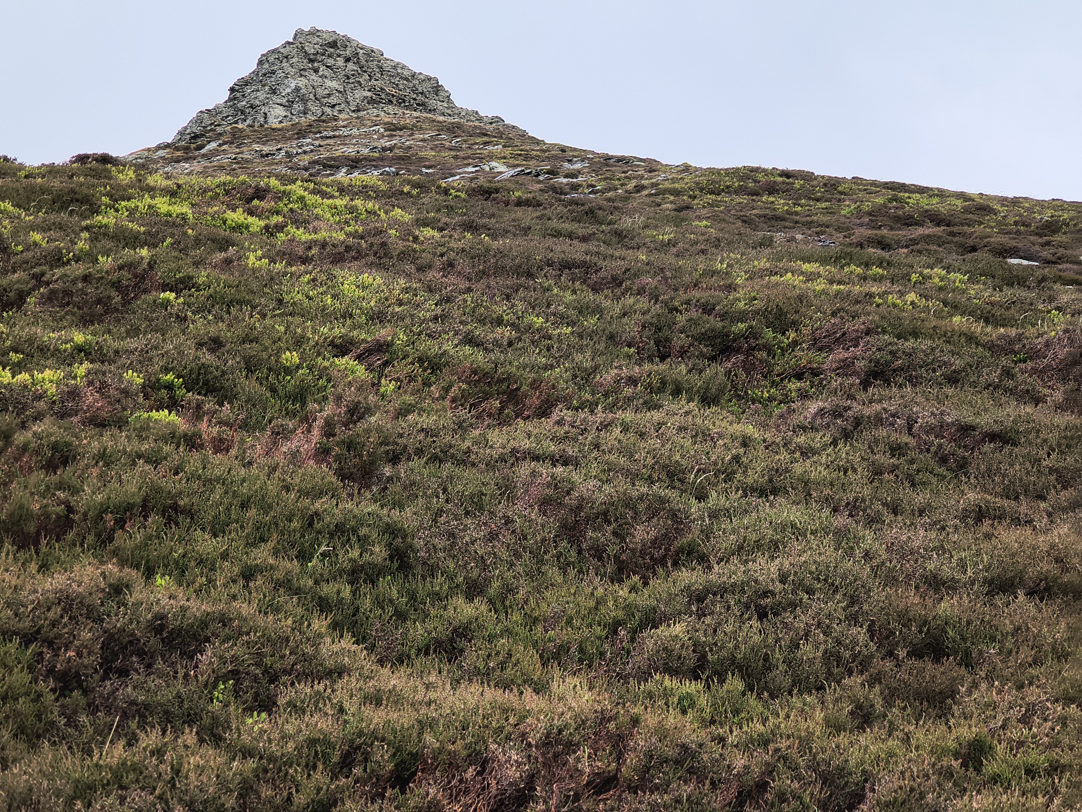 Blencathra [whiteout] - Image 6, May 27, 2025