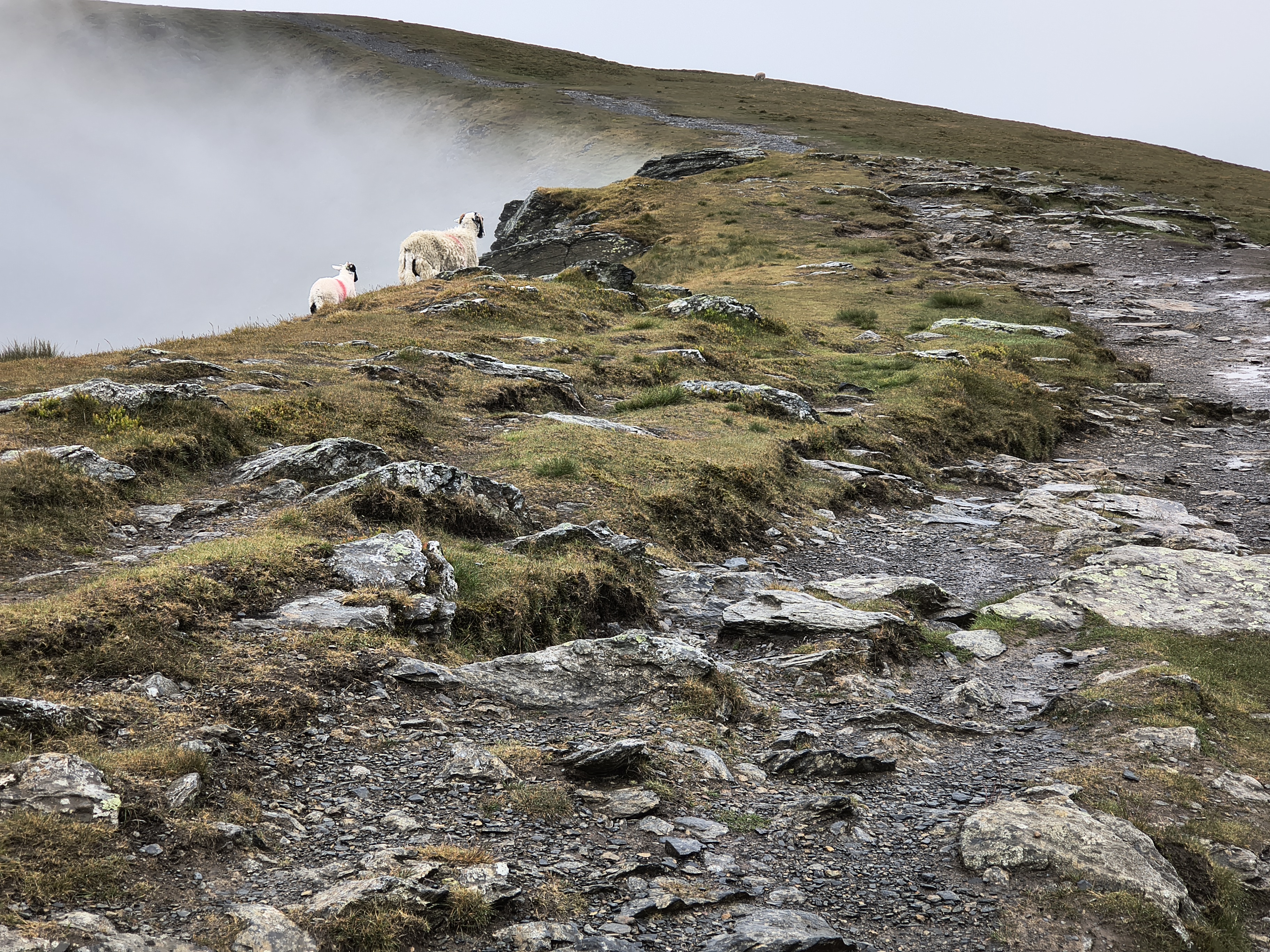 Blencathra [whiteout] - Image 13, May 27, 2025