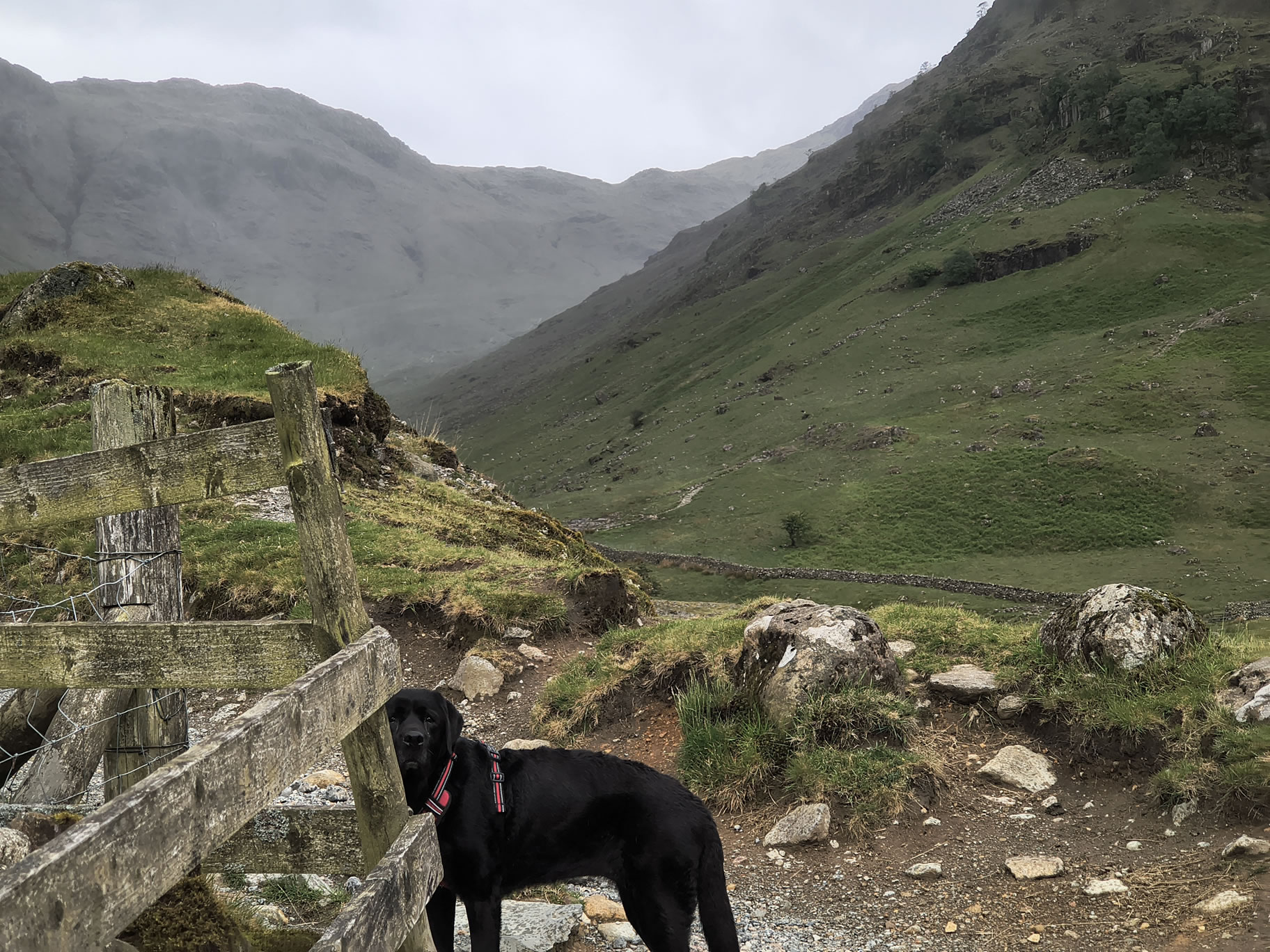 Scafell Pike - Image 3, May 28, 2025