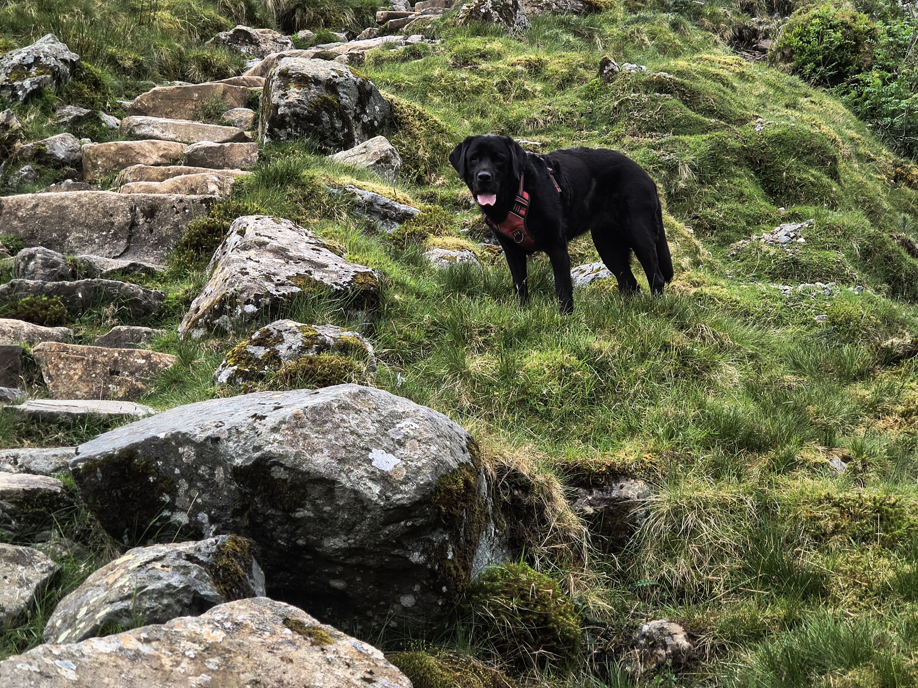 Scafell Pike - Image 8, May 28, 2025