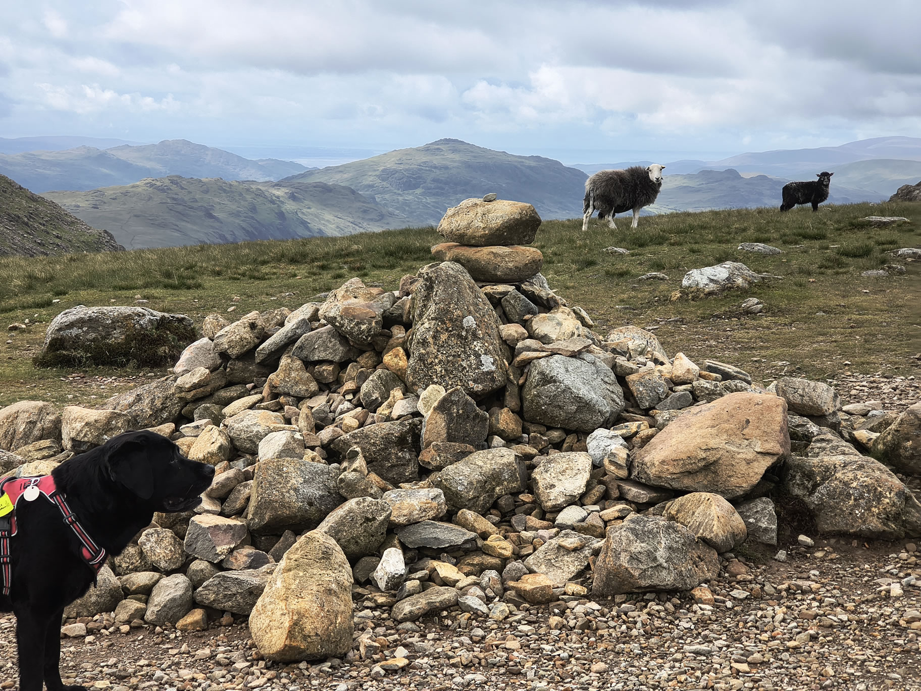 Scafell Pike - Image 9, May 28, 2025