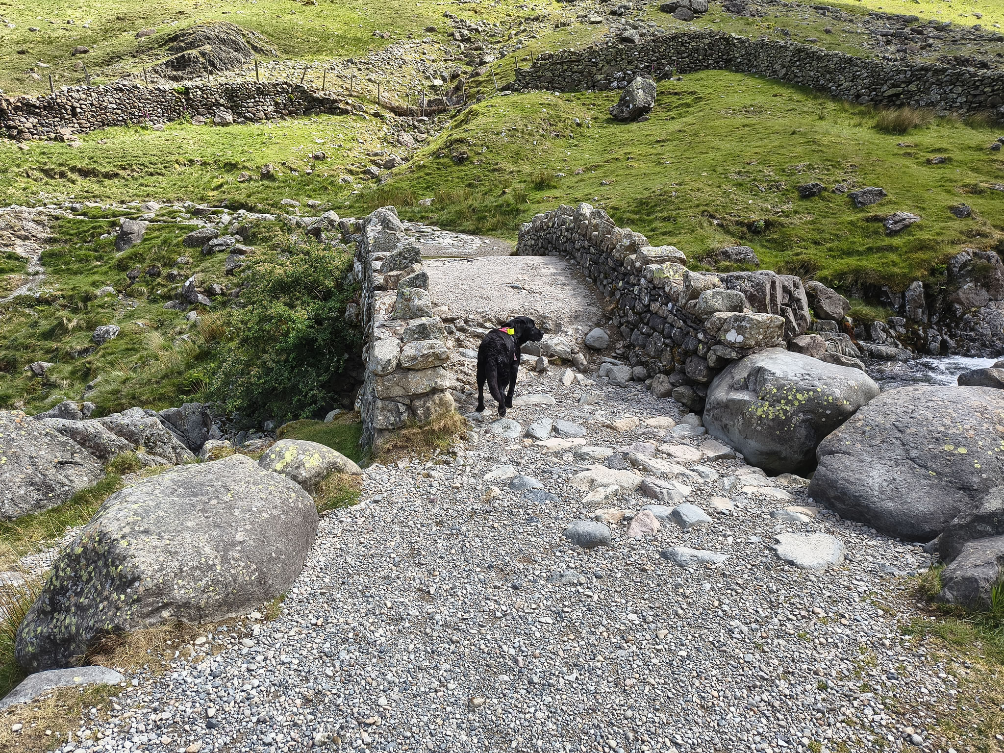 Scafell Pike - Image 32, May 28, 2025