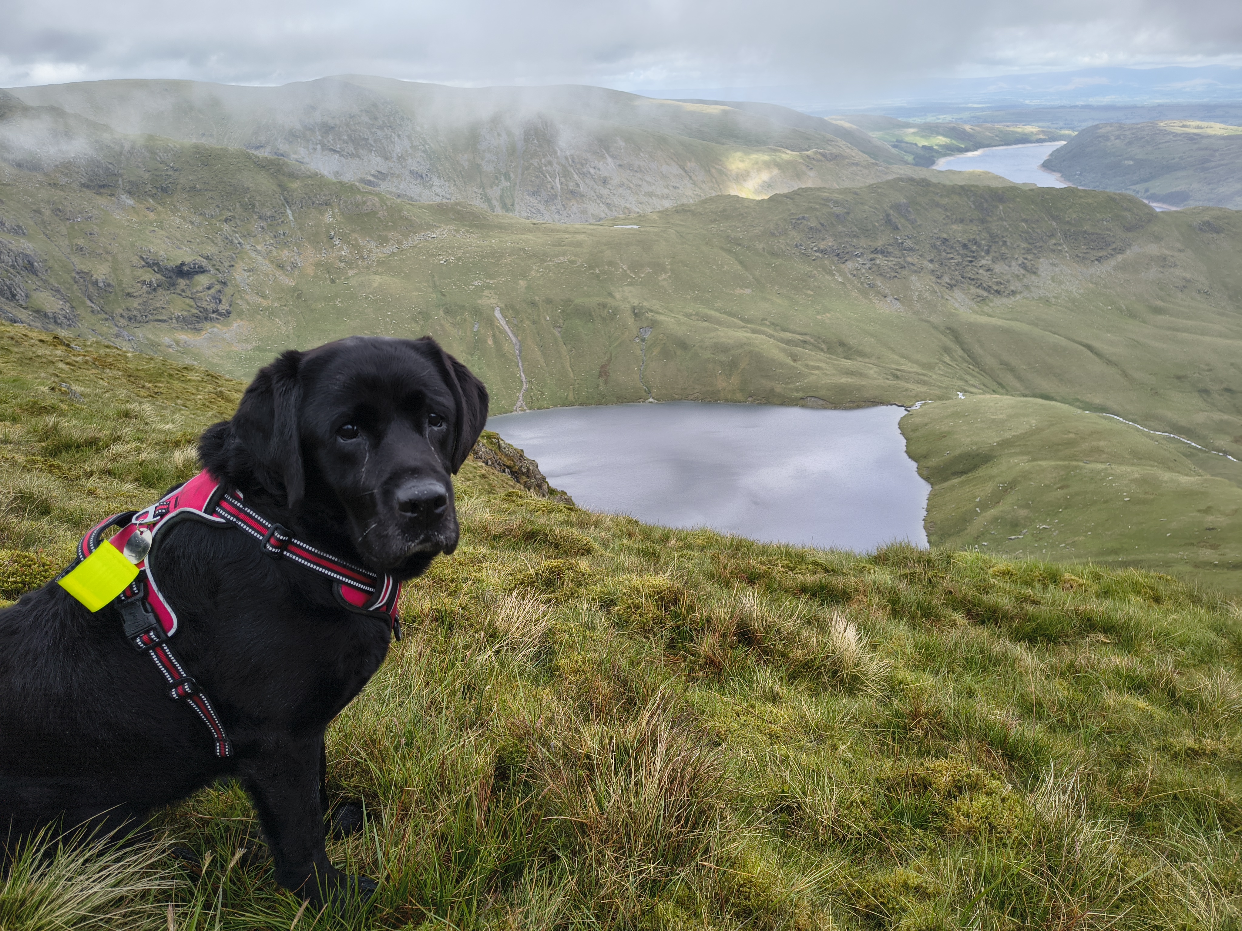 Indy in the foreground of this picture from Blea Water Crag, off the path, as the clouds part just long enough to reveal a fantastic view of Blea Water and Haweswater reservoir beyond, May 30, 2025