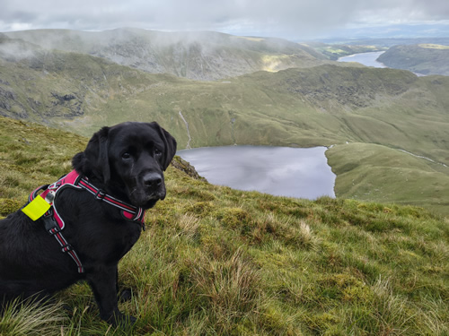Indy in the foreground of this picture from Blea Water Crag, off the path, as the clouds part just long enough to reveal a fantastic view of Blea Water and Haweswater reservoir beyond
