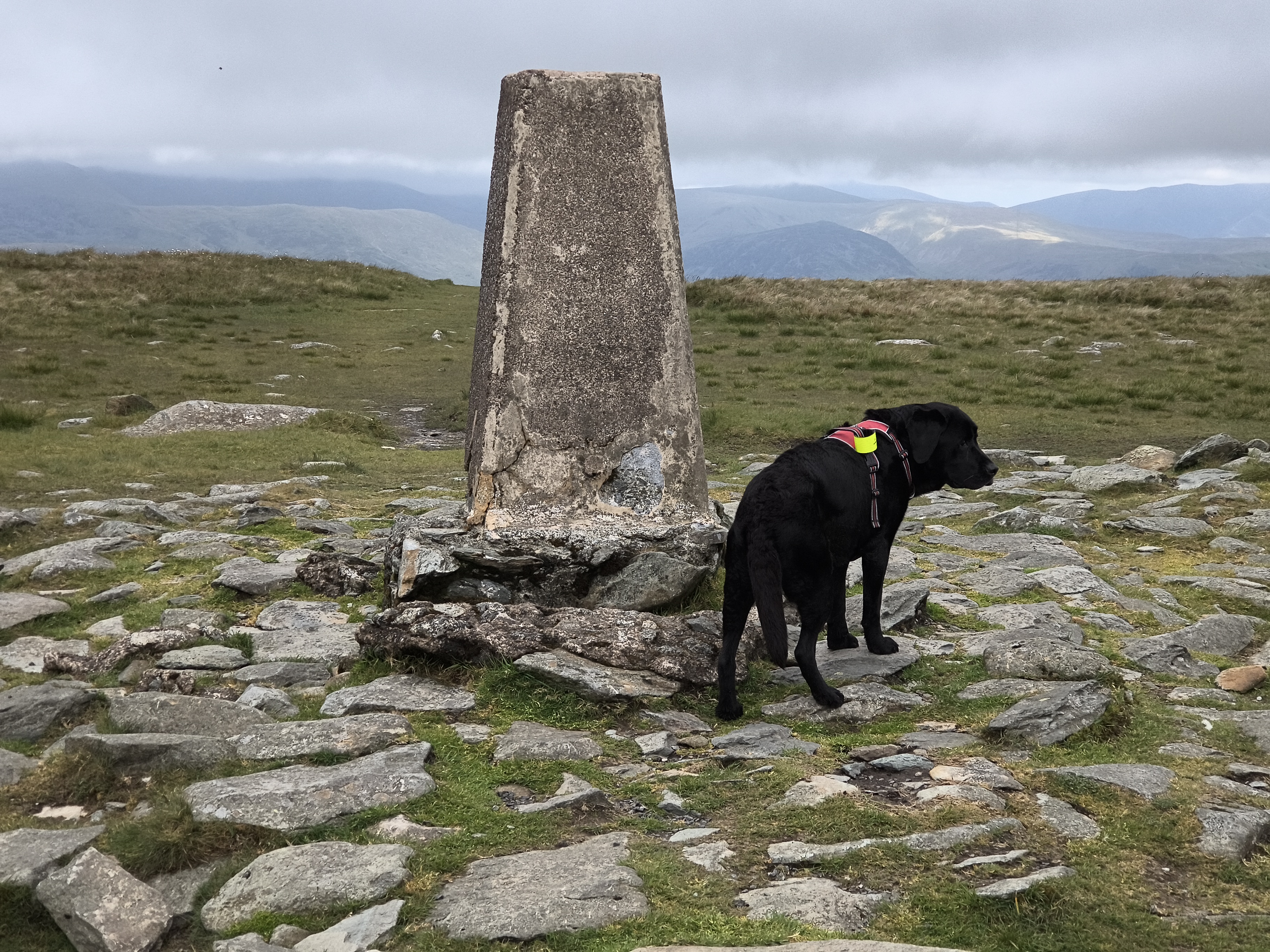 High Street - Image 15, May 30, 2025