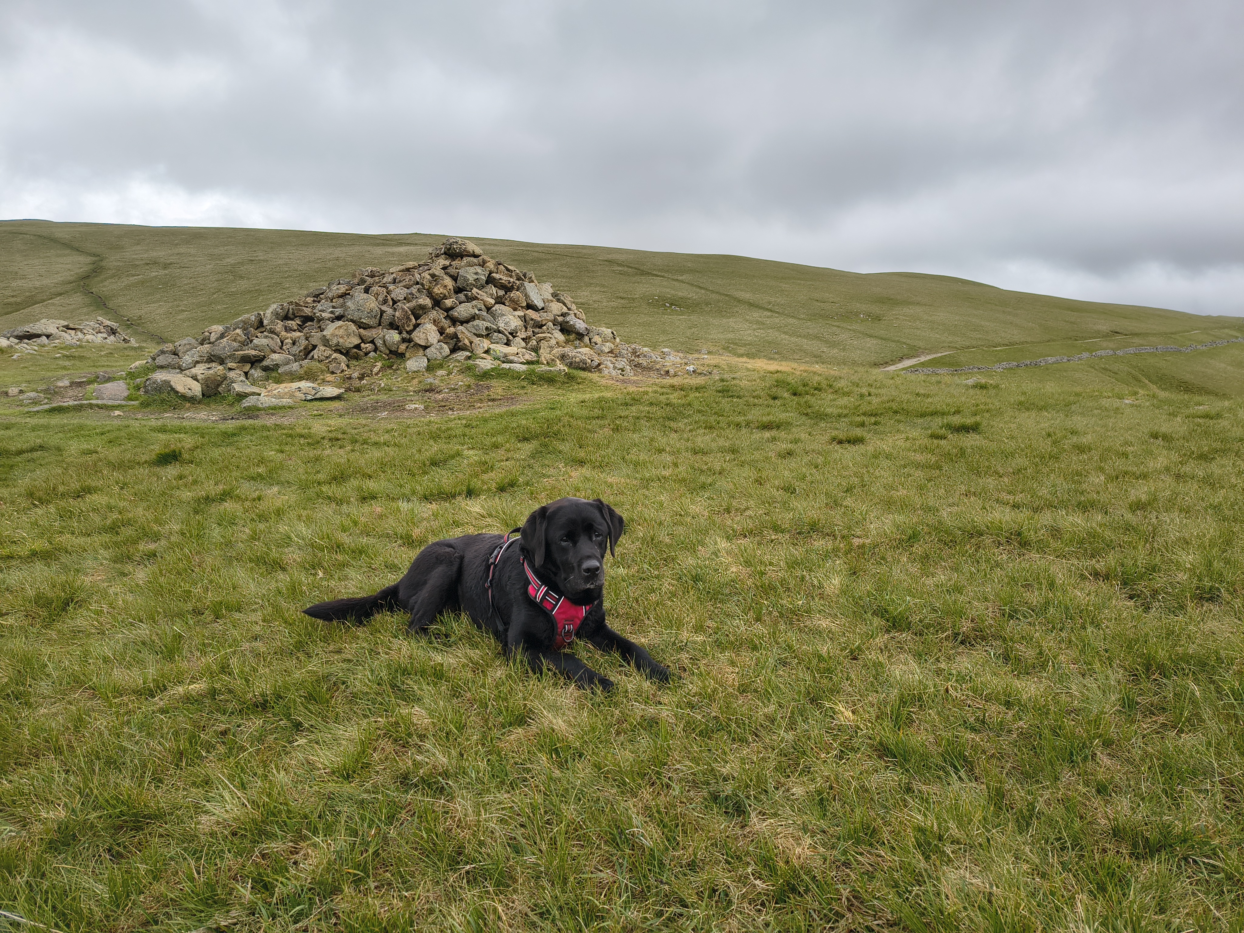 High Street - Image 18, May 30, 2025