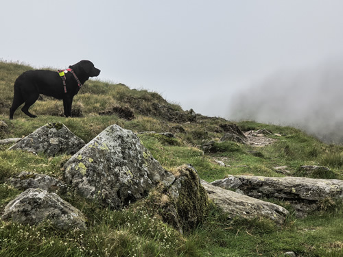Indy is unsure if we should continue in this image of thick clouds rolling around Nan Bield Pass