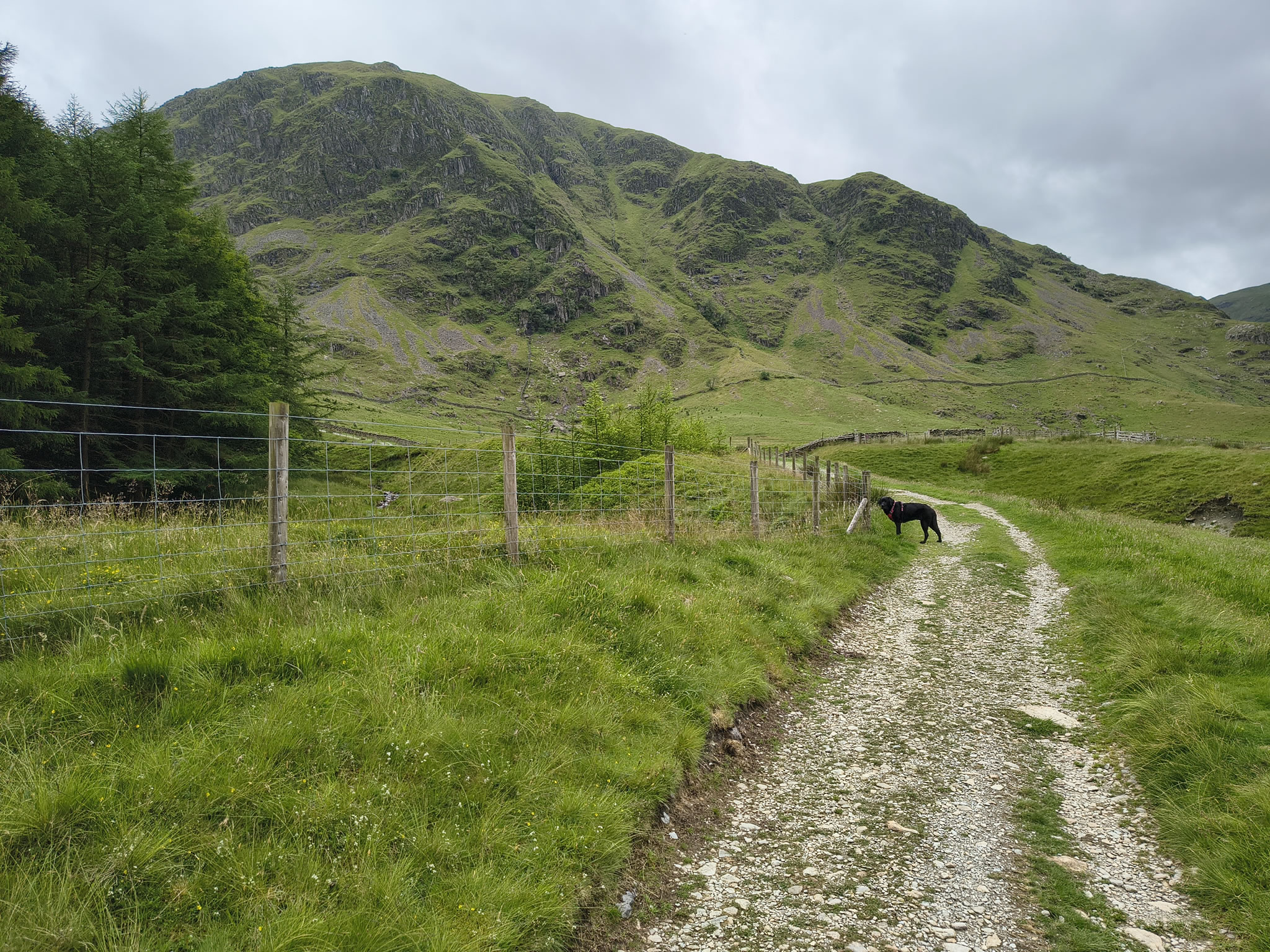 Harter Fell - Image 4, Jun 25, 2025