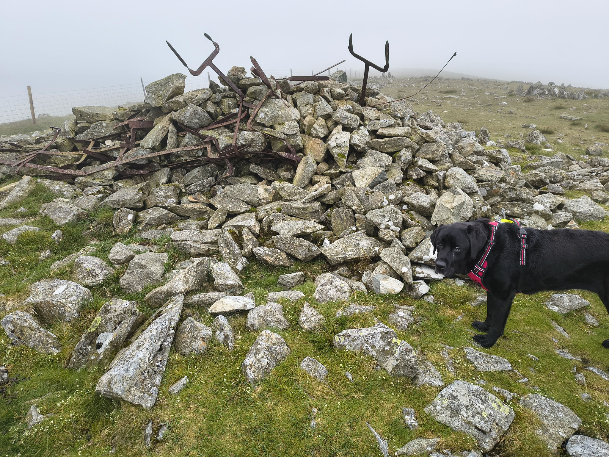 Harter Fell - Image 9, Jun 25, 2025