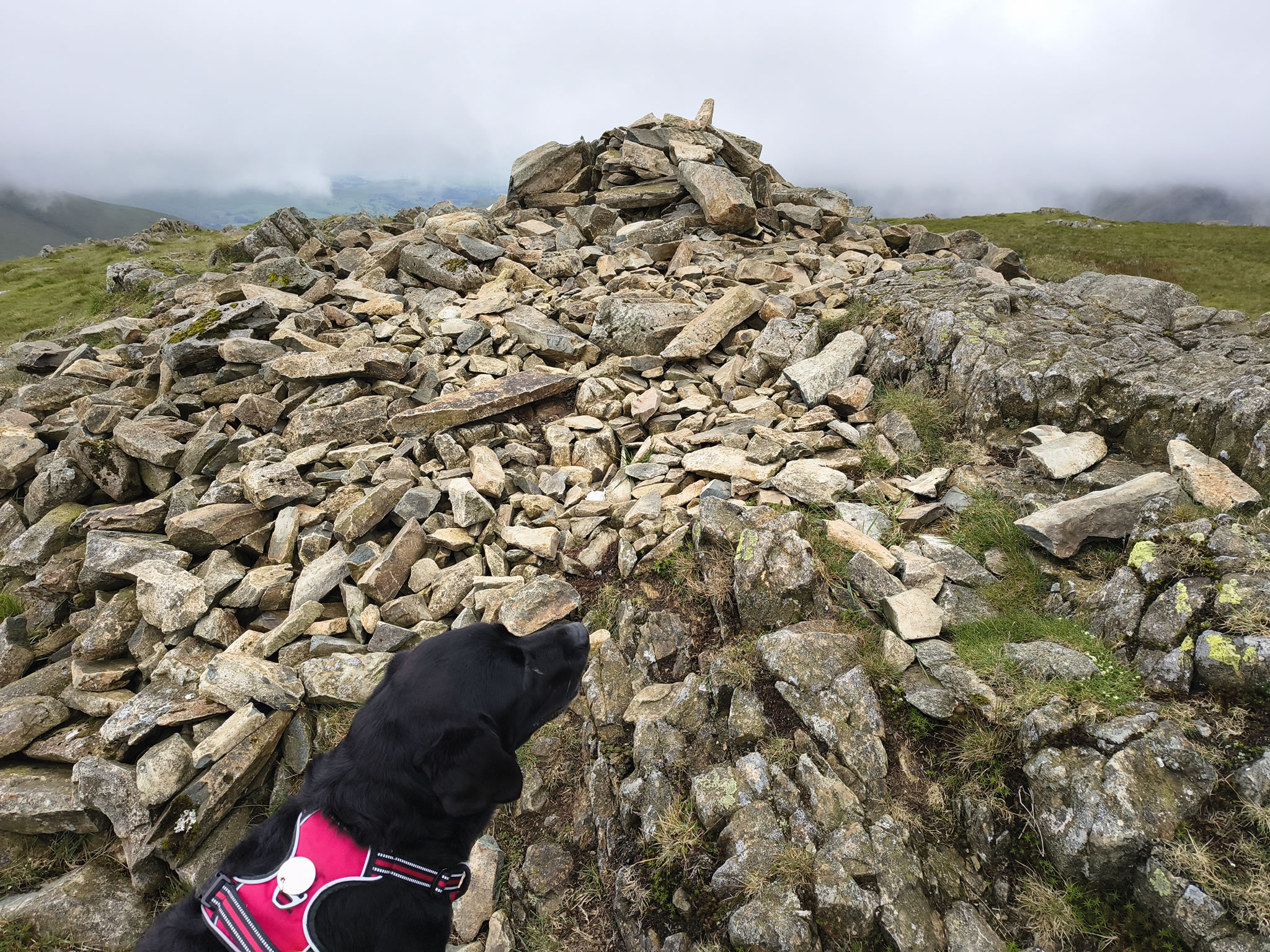 Harter Fell - Image 15, Jun 25, 2025