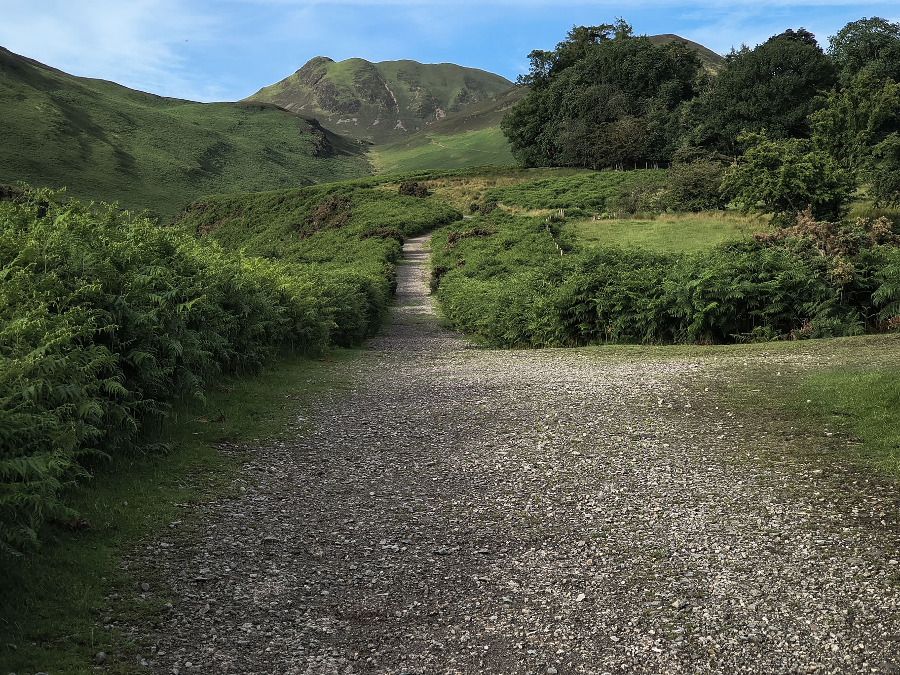 Causey Ridge, Grasmoor - Image 2, Jun 29, 2025