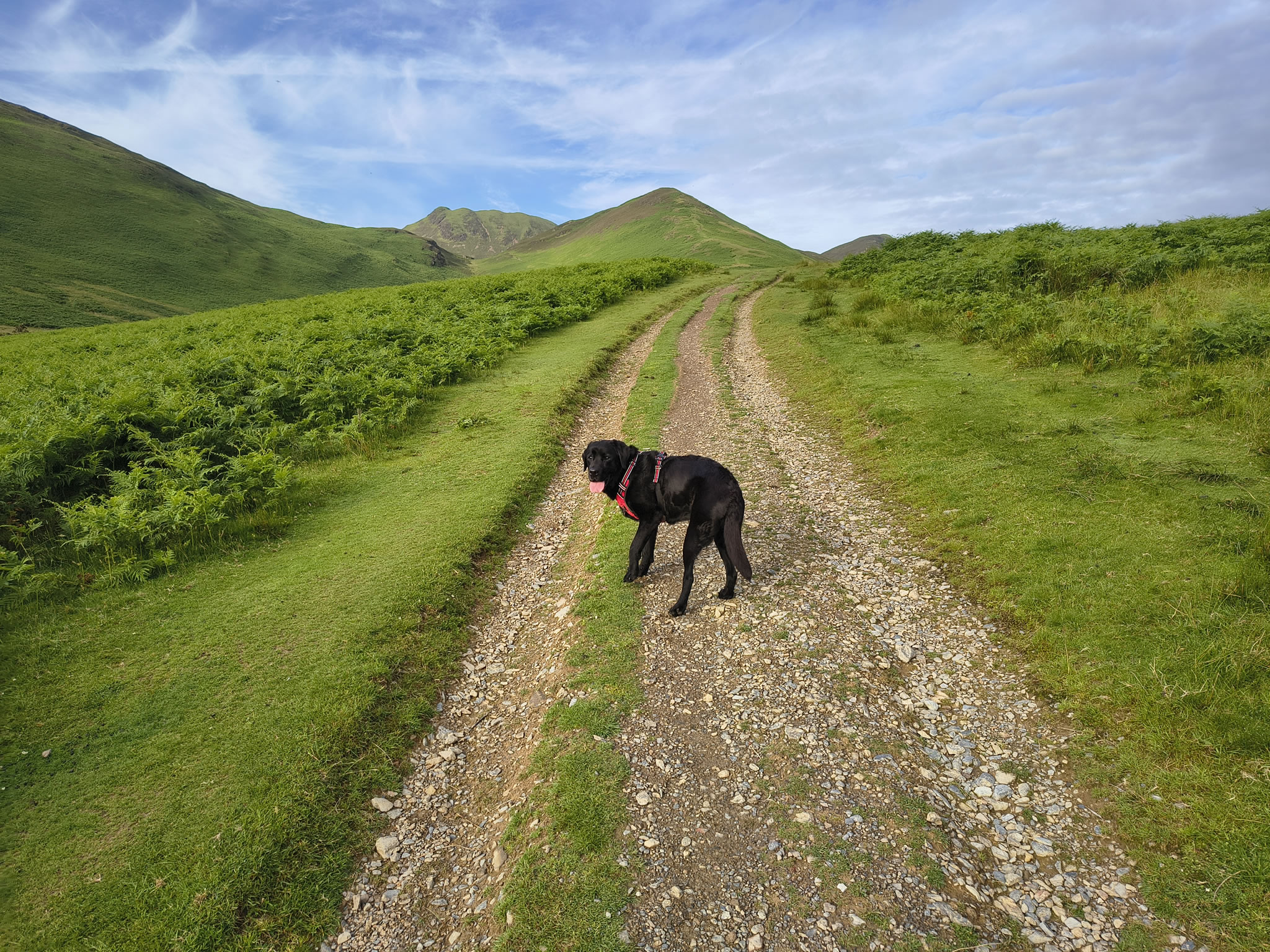 Causey Ridge, Grasmoor - Image 3, Jun 29, 2025
