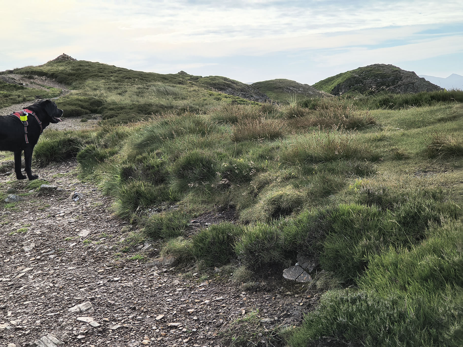 Causey Ridge, Grasmoor - Image 5, Jun 29, 2025