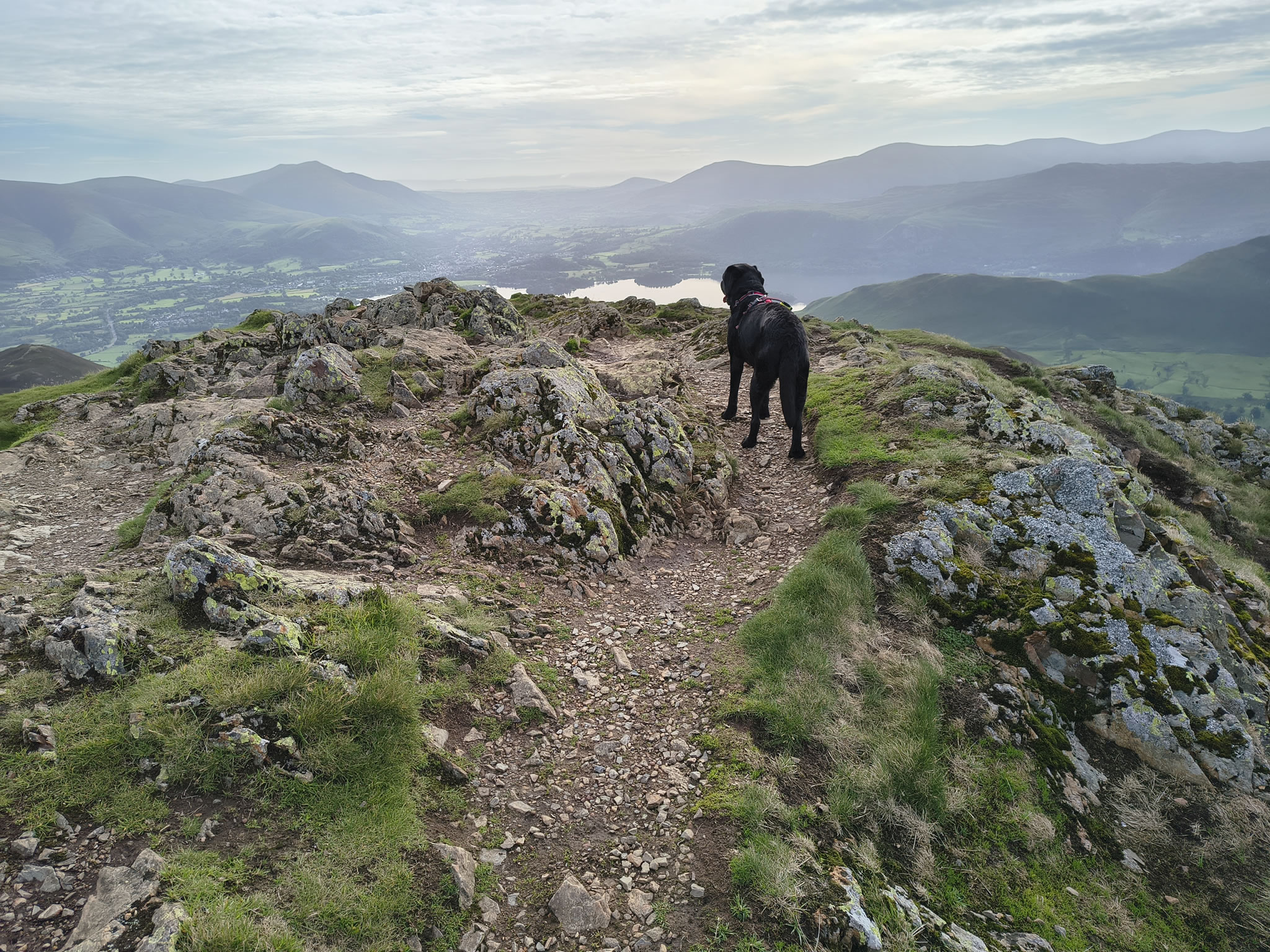 Causey Ridge, Grasmoor - Image 6, Jun 29, 2025