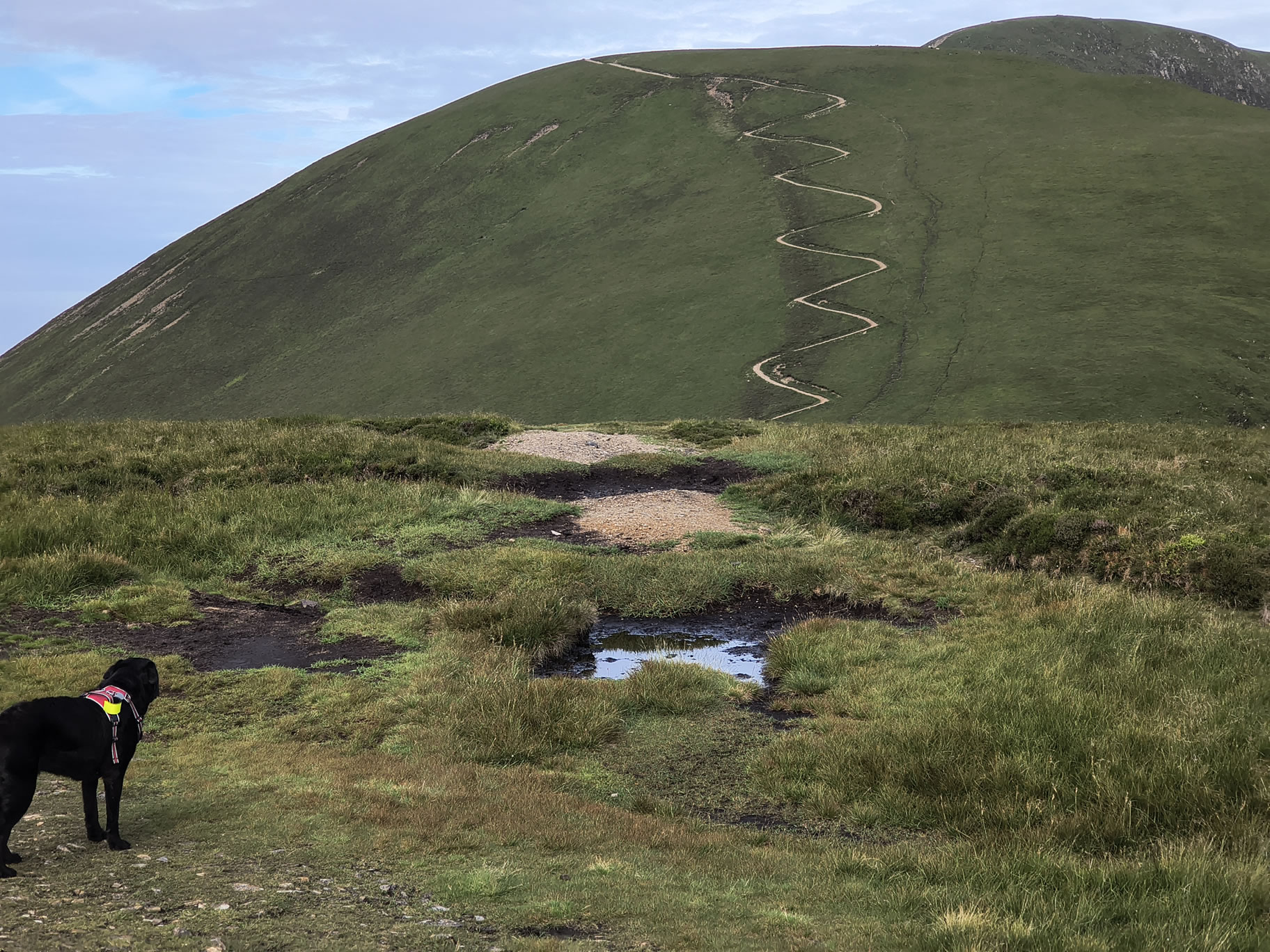 Causey Ridge, Grasmoor - Image 9, Jun 29, 2025