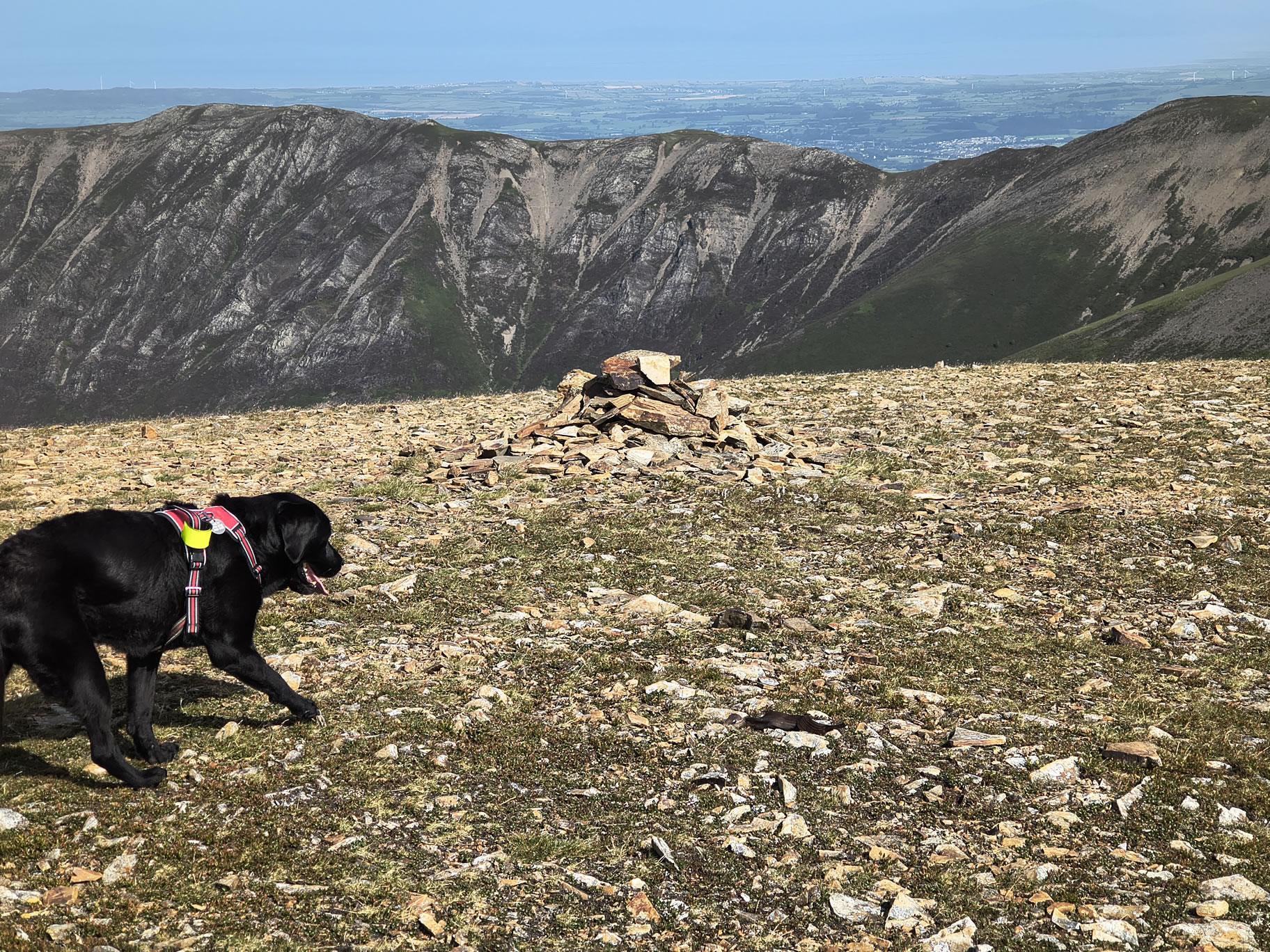 Causey Ridge, Grasmoor - Image 18, Jun 29, 2025