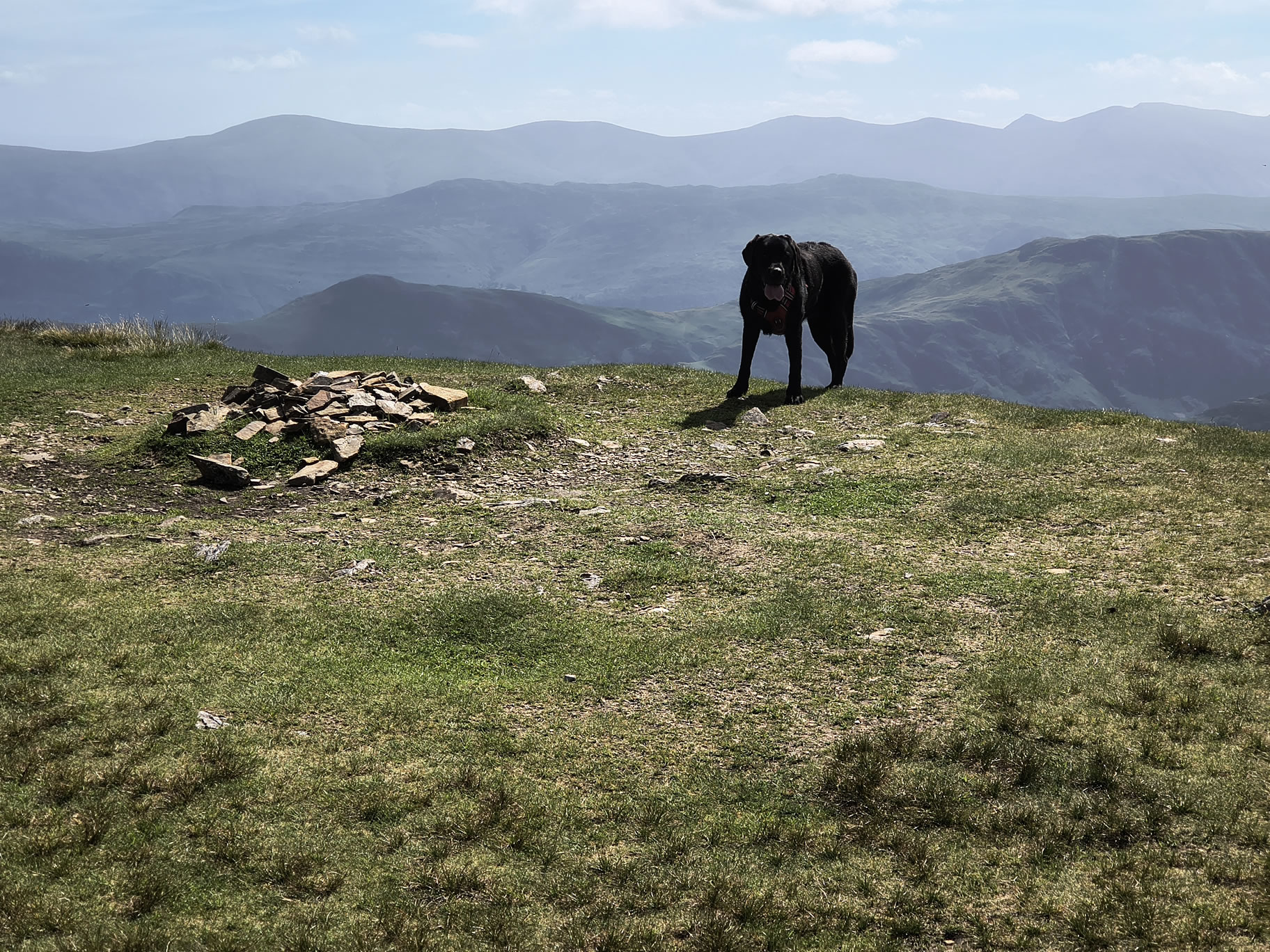 Causey Ridge, Grasmoor - Image 26, Jun 29, 2025