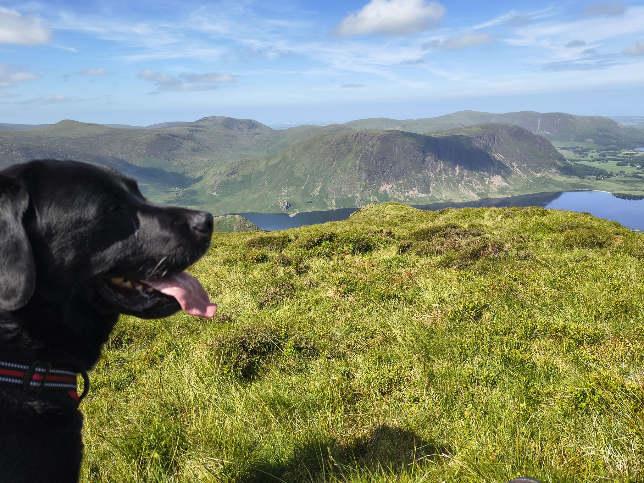 Causey Ridge, Grasmoor - Image 28, Jun 29, 2025