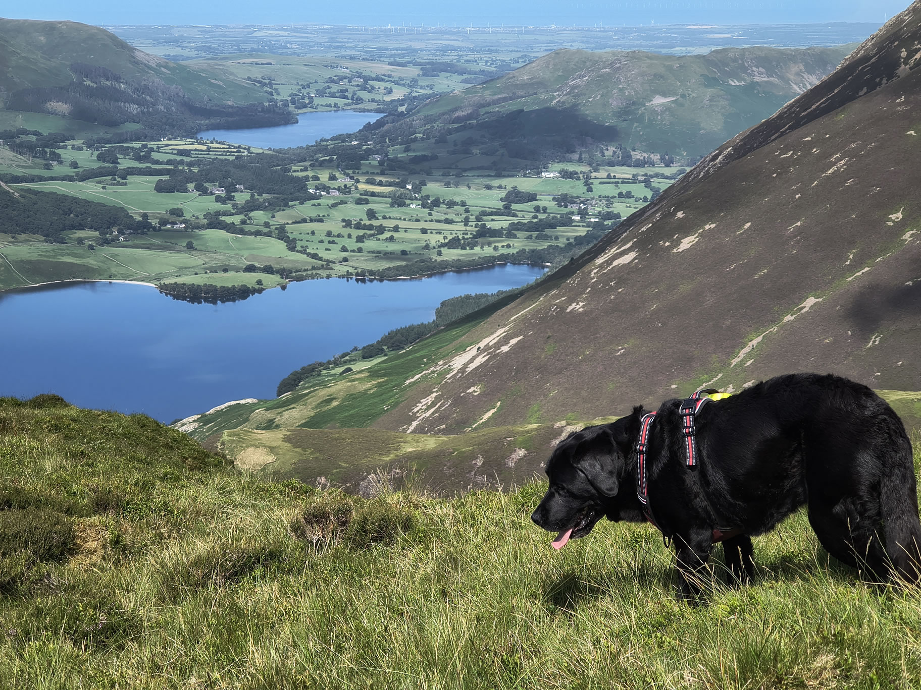 Causey Ridge, Grasmoor - Image 31, Jun 29, 2025
