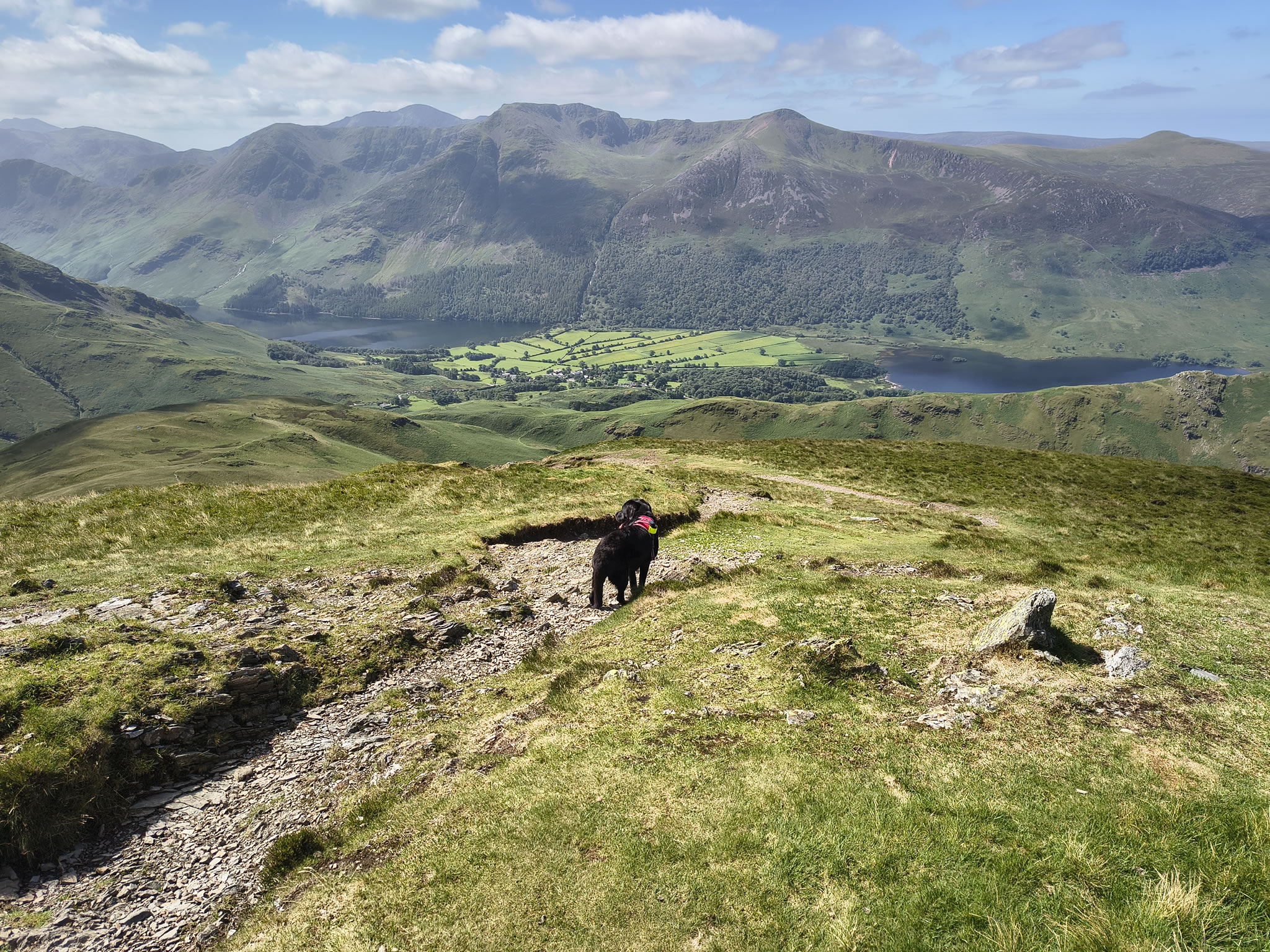 Causey Ridge, Grasmoor - Image 32, Jun 29, 2025