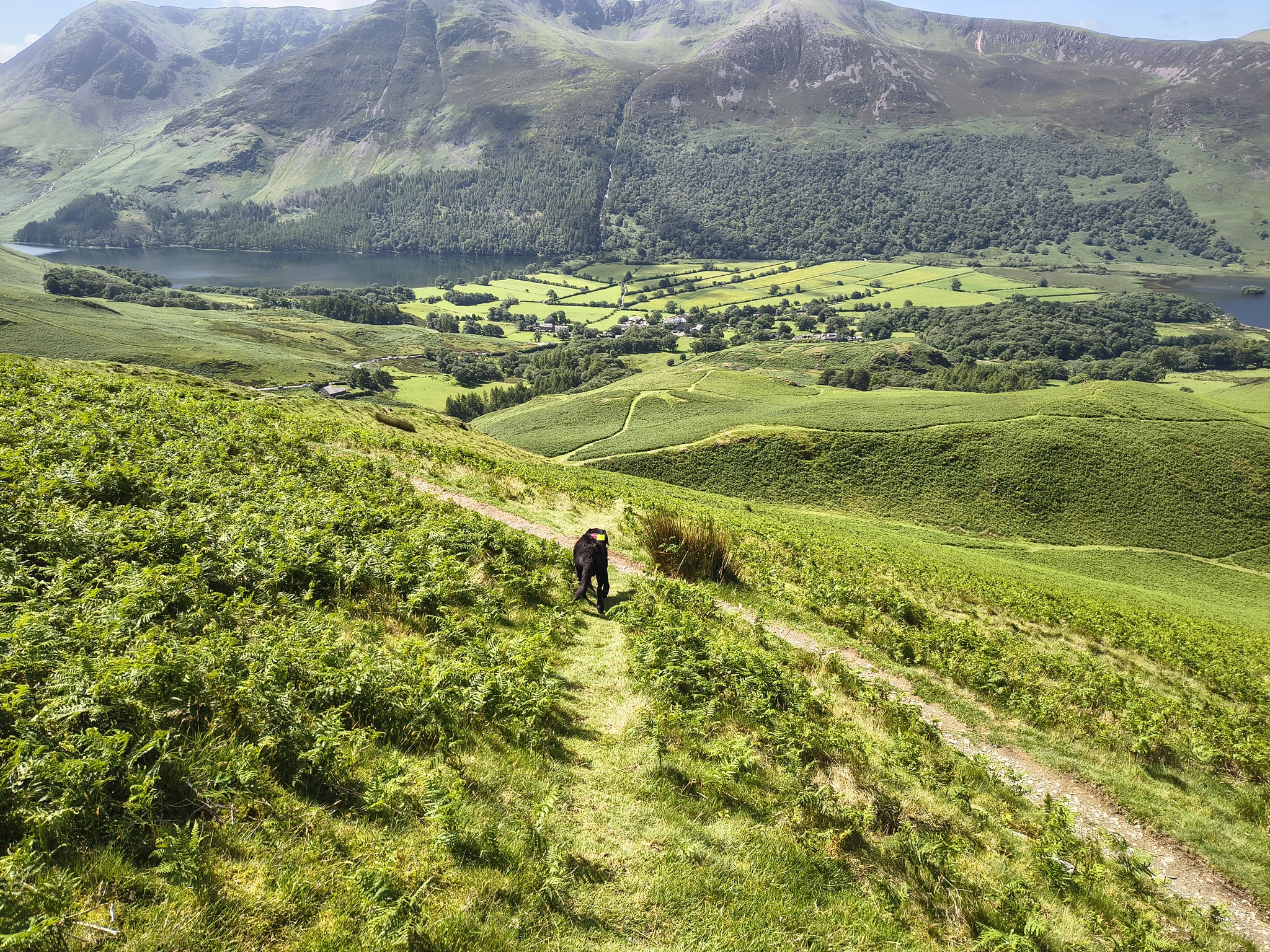 Causey Ridge, Grasmoor - Image 33, Jun 29, 2025