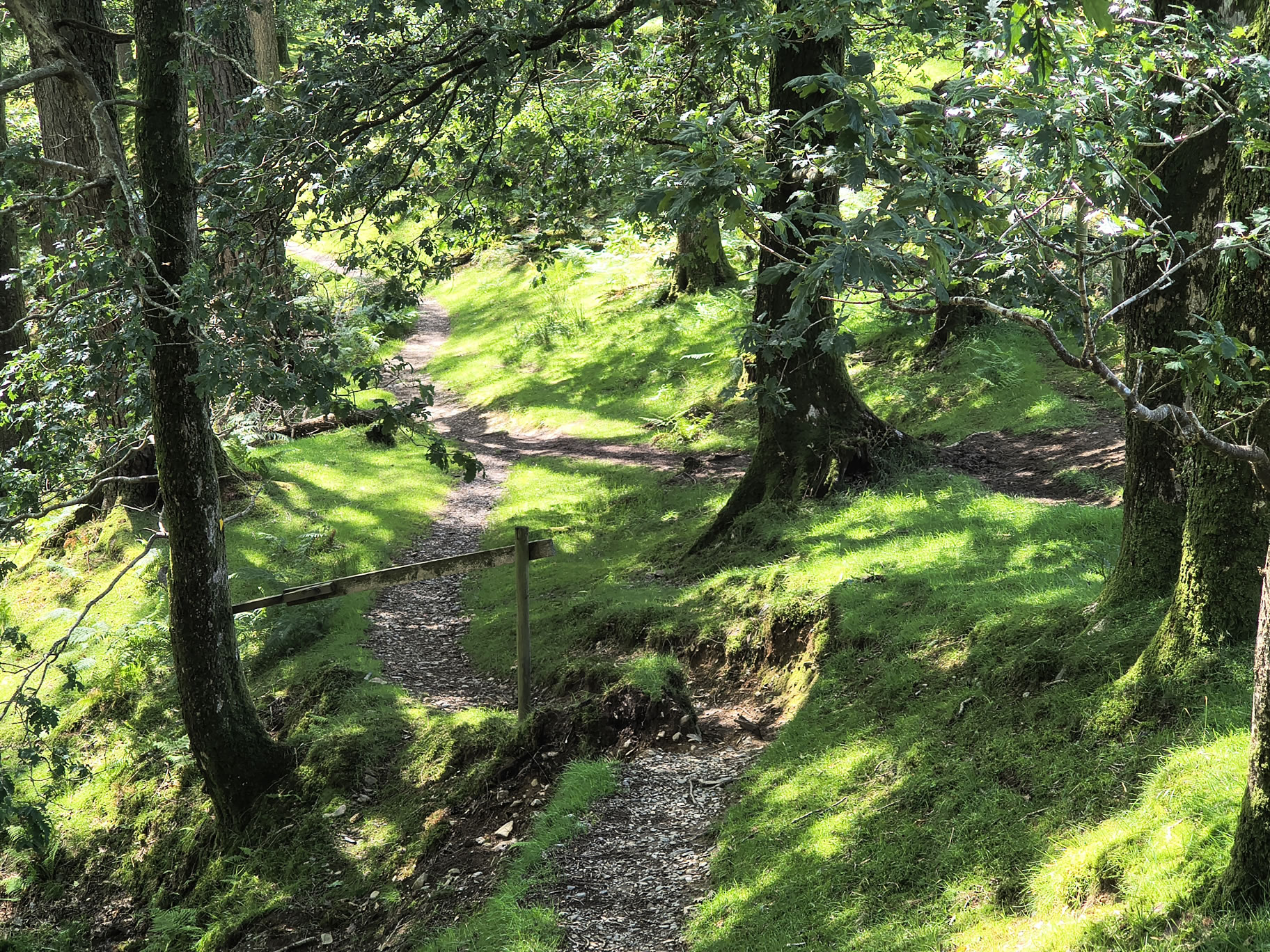 Causey Ridge, Grasmoor - Image 34, Jun 29, 2025
