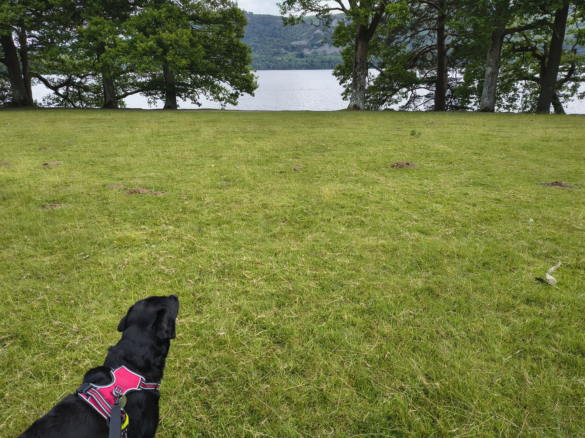 Derwent Water - Image 2, Jun 30, 2025