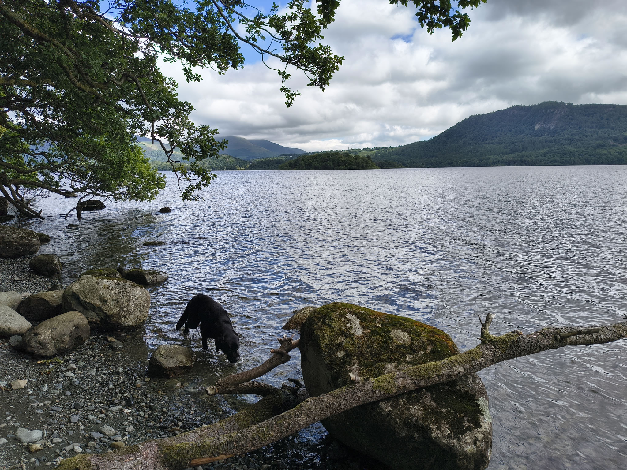 Derwent Water - Image 3, Jun 30, 2025