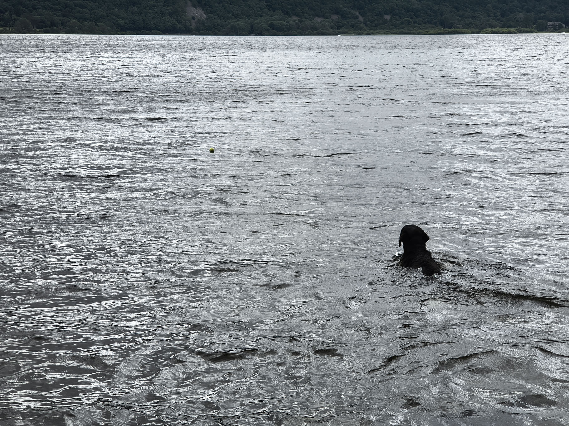 Derwent Water - Image 4, Jun 30, 2025