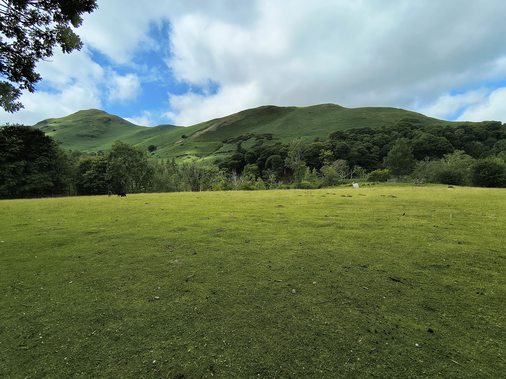 Derwent Water - Image 5, Jun 30, 2025