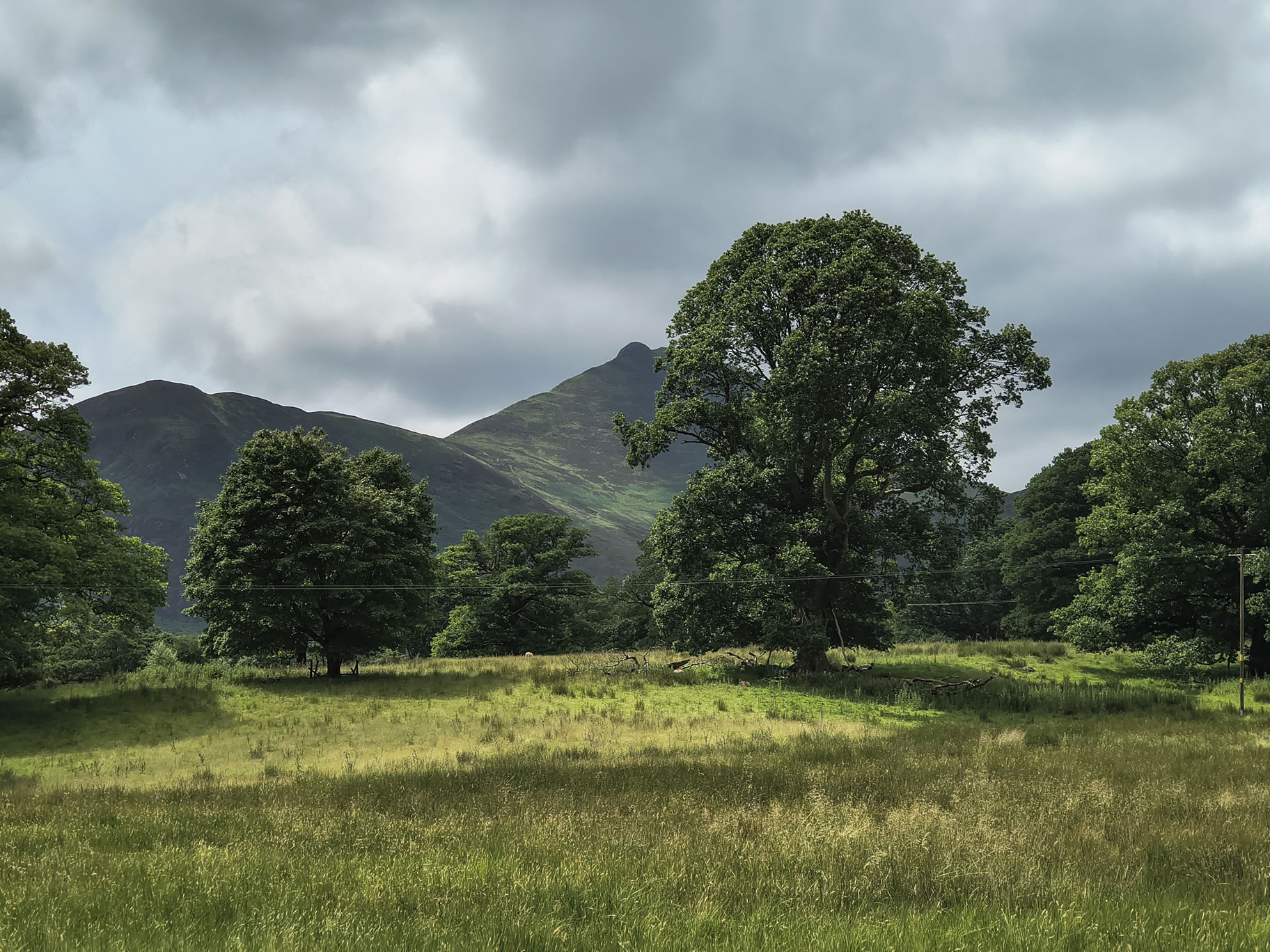 Derwent Water - Image 7, Jun 30, 2025