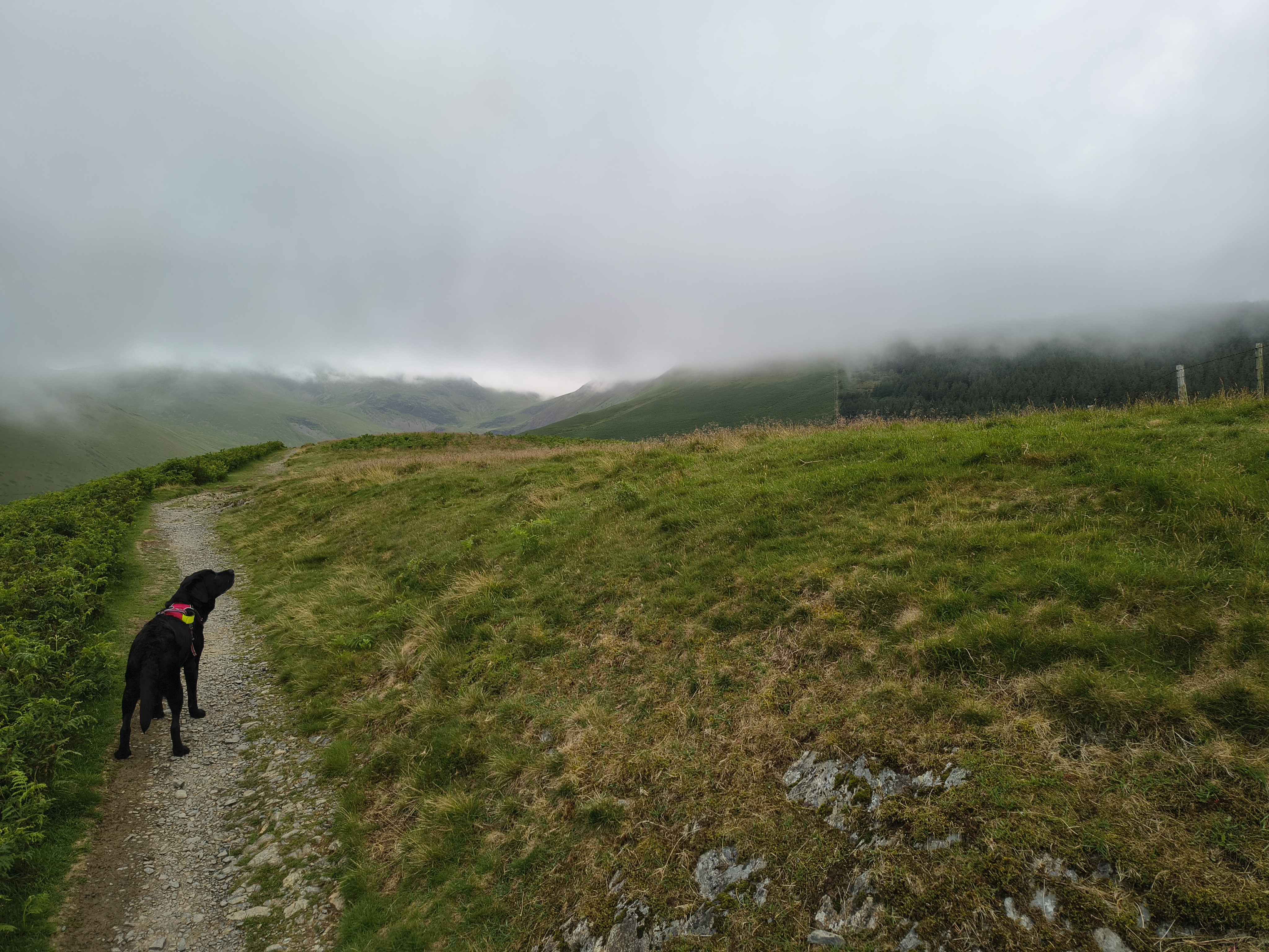 Grisedale Pike - Image 5, Jul 01, 2025