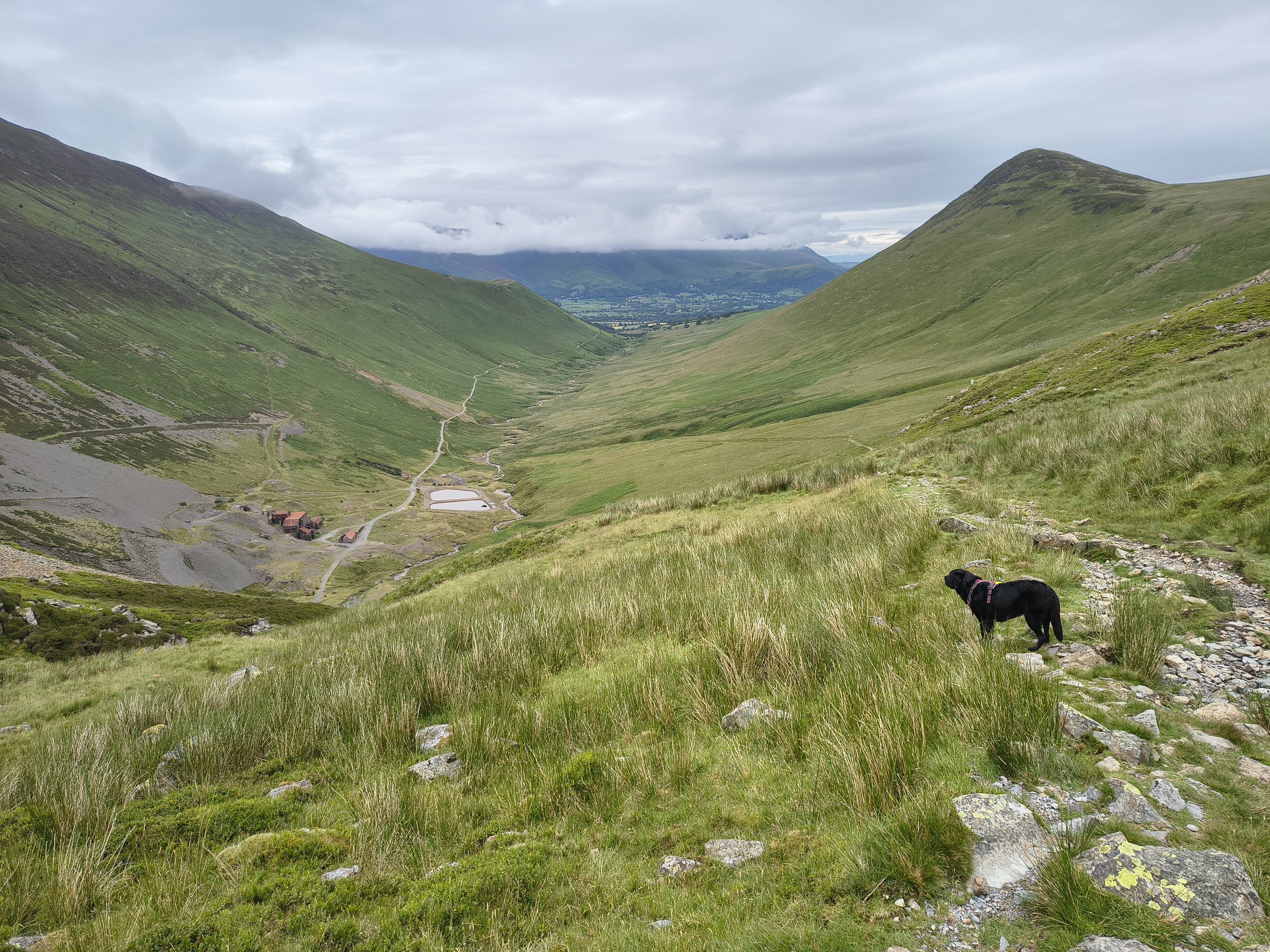 Grisedale Pike - Image 20, Jul 01, 2025